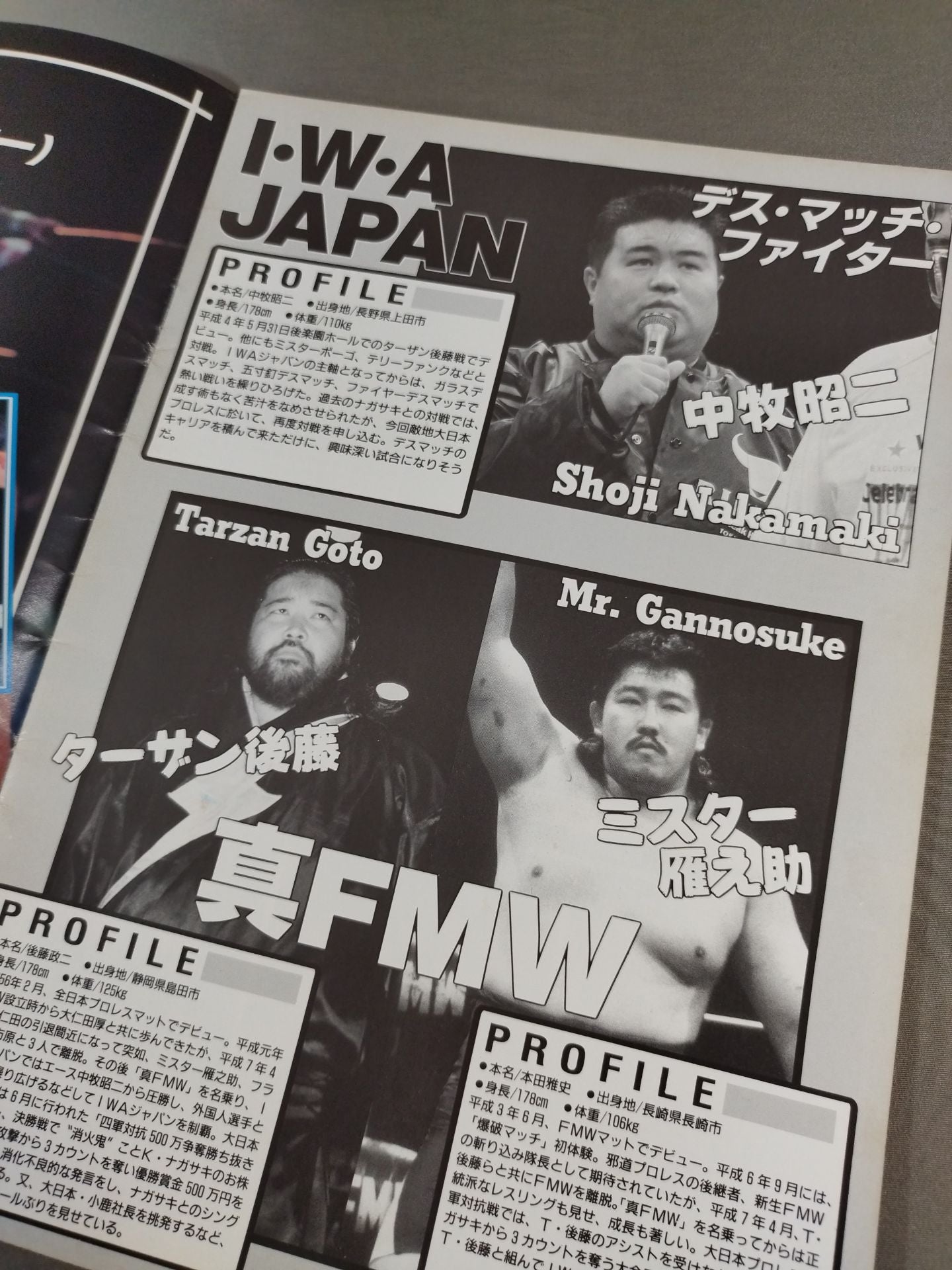 Big Japan Pro Wrestling Box Office Co., Ltd. BIG・JAPAN