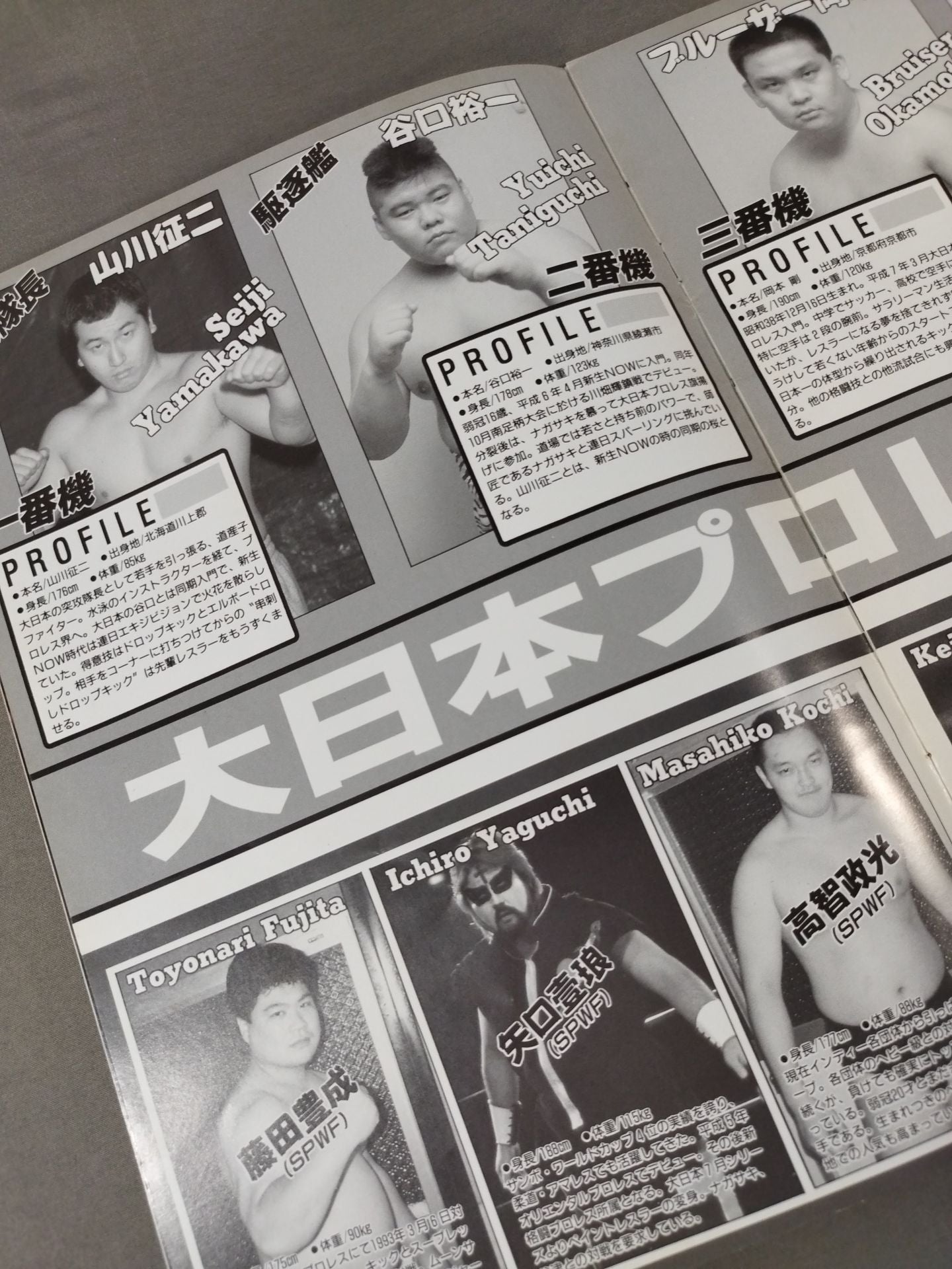 Big Japan Pro Wrestling Box Office Co., Ltd. BIG・JAPAN