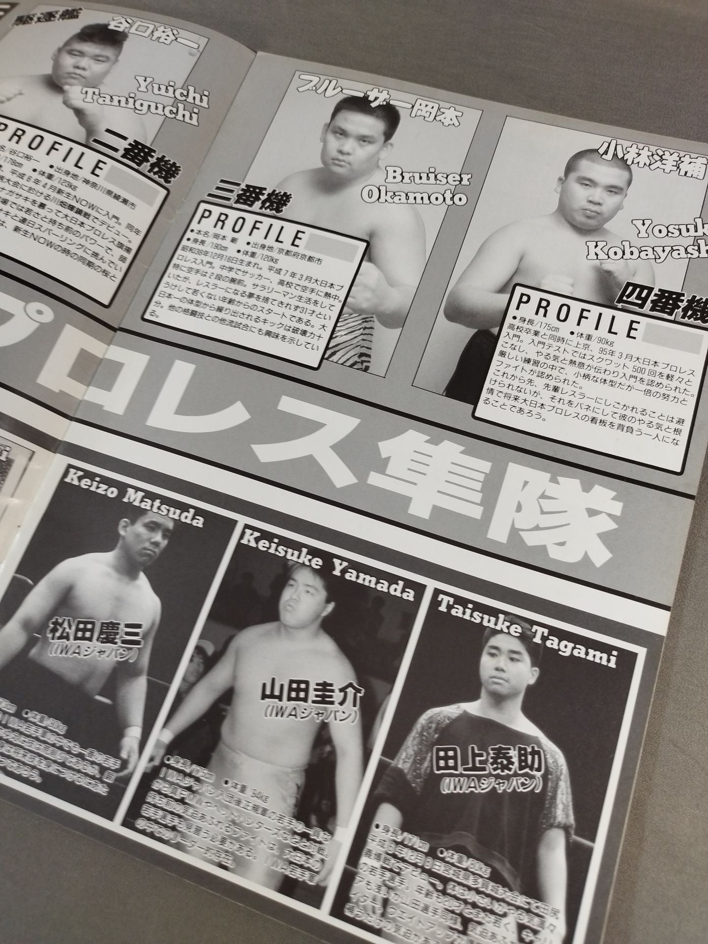 Big Japan Pro Wrestling Box Office Co., Ltd. BIG・JAPAN