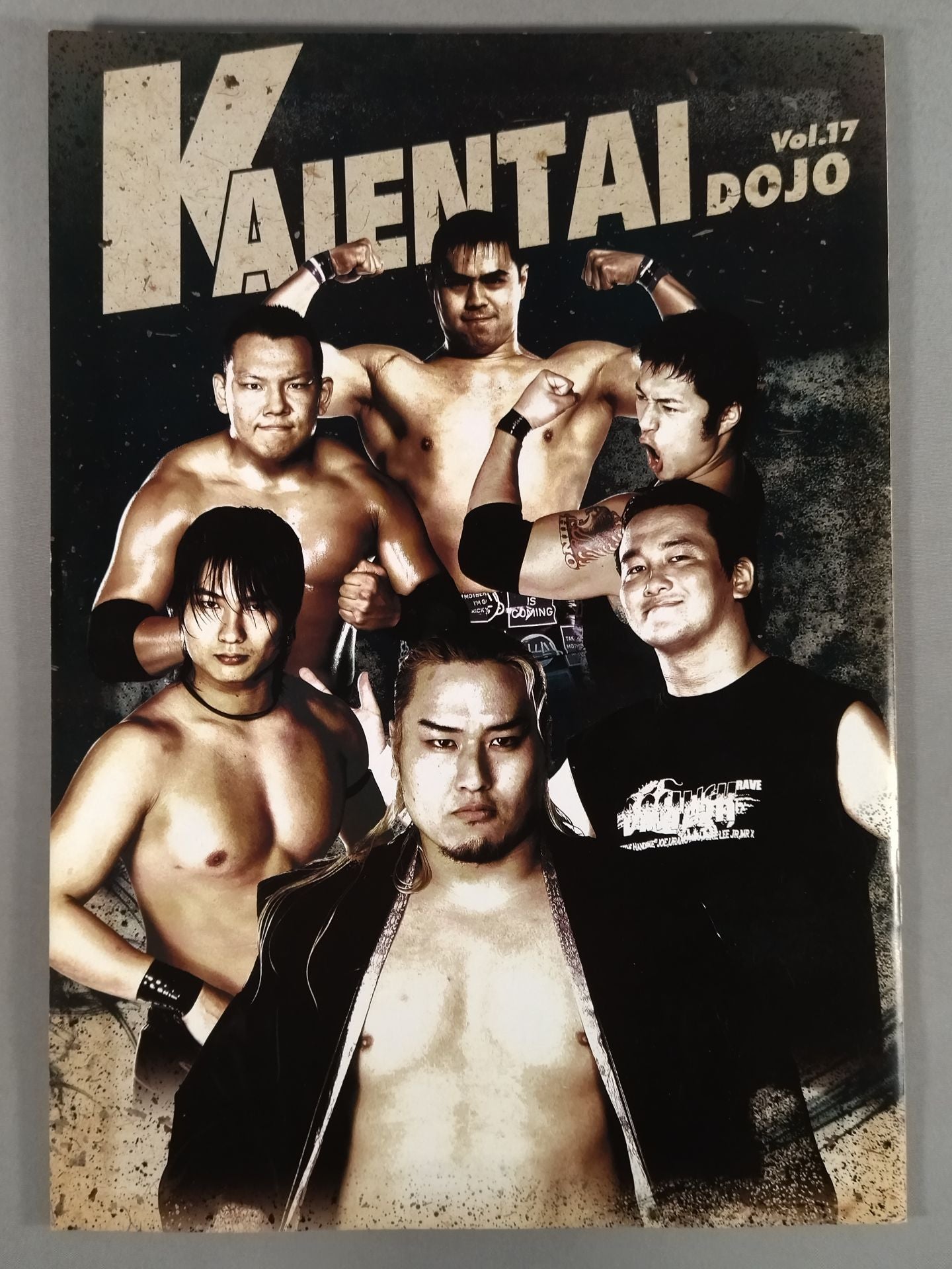 KAIENTAI-DOJO Vol.17