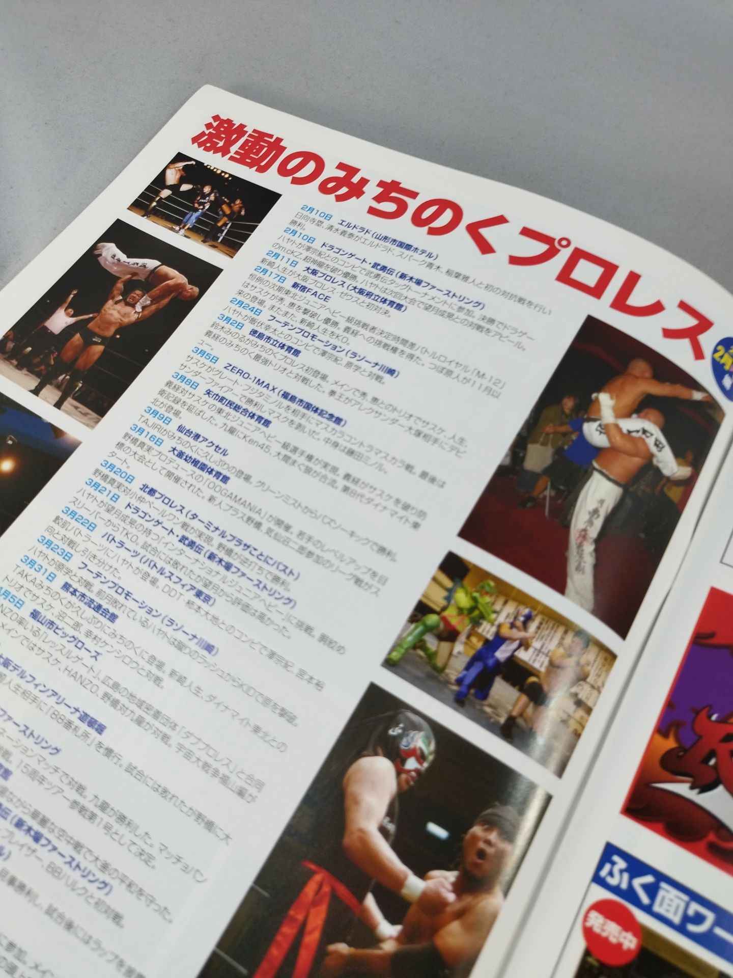 みちのくプロレス オフィシャルパンフレット Vol.119