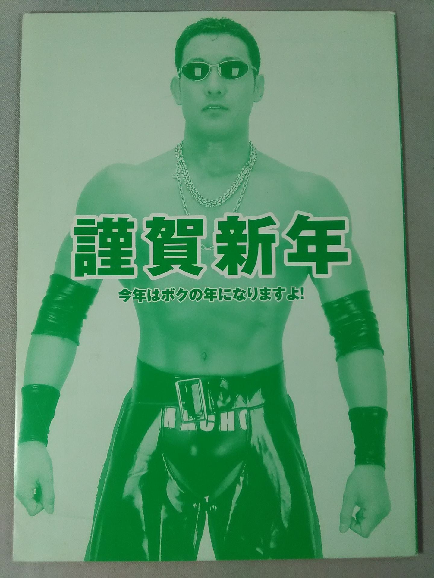Michinoku Pro Wrestling Official Brochure Vol.65
