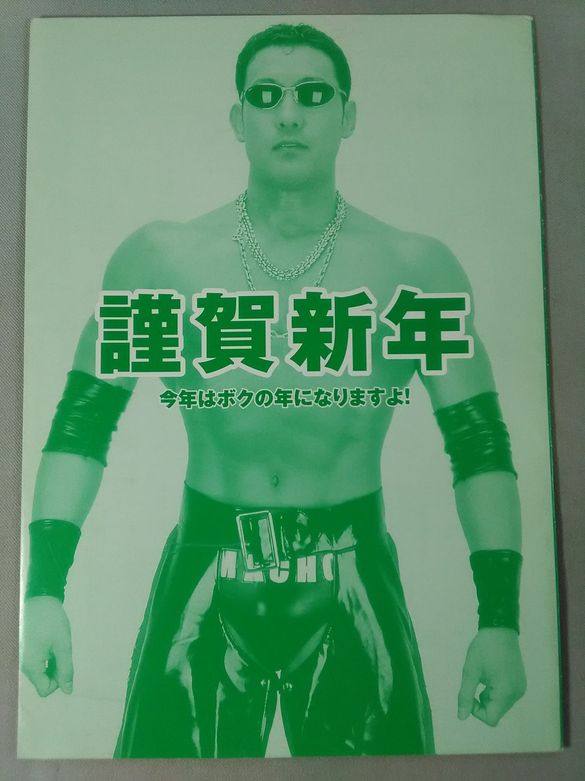 みちのくプロレス オフィシャルパンフレット Vol.65