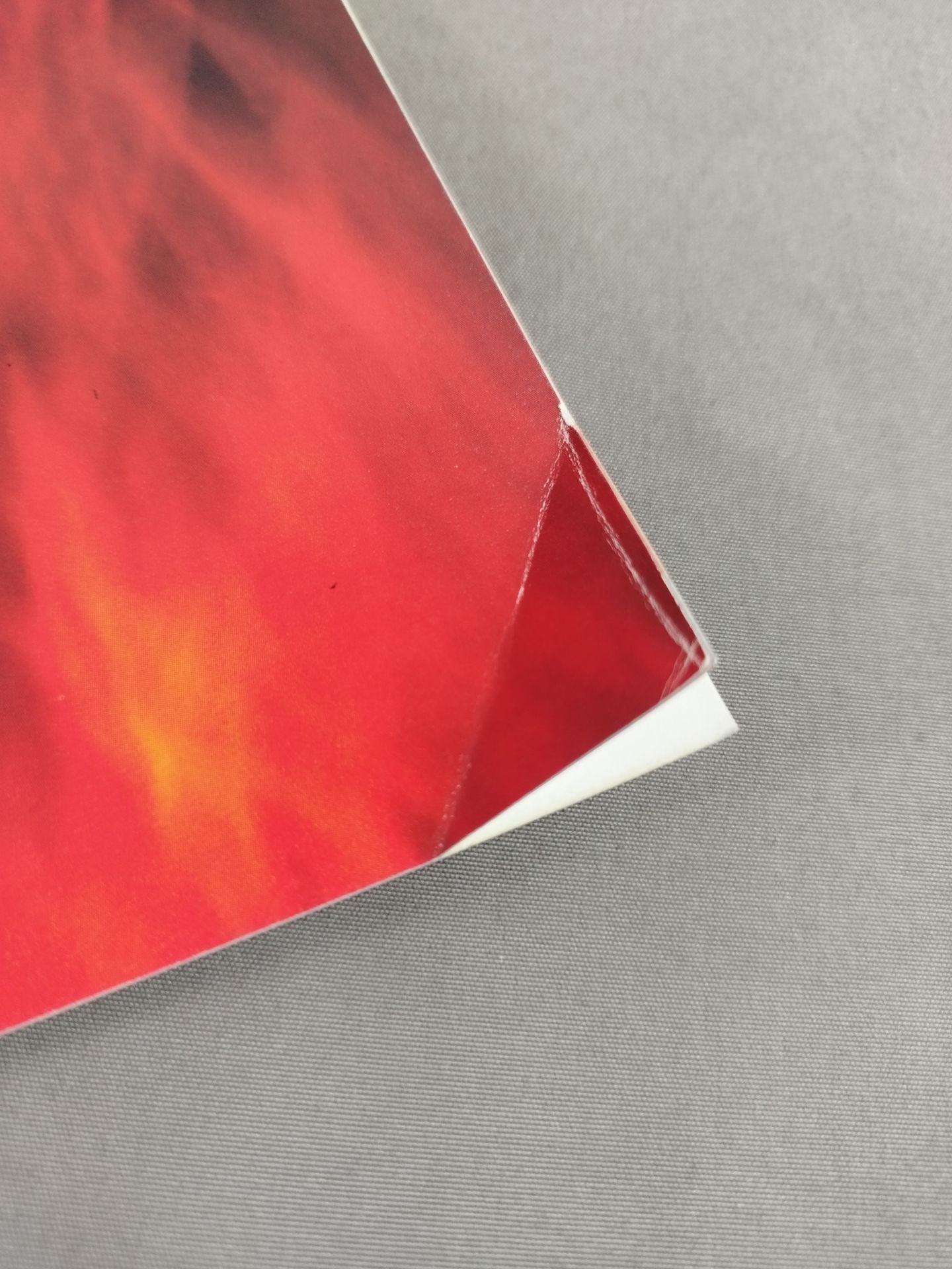 Michinoku Pro Wrestling Official Brochure Vol.80