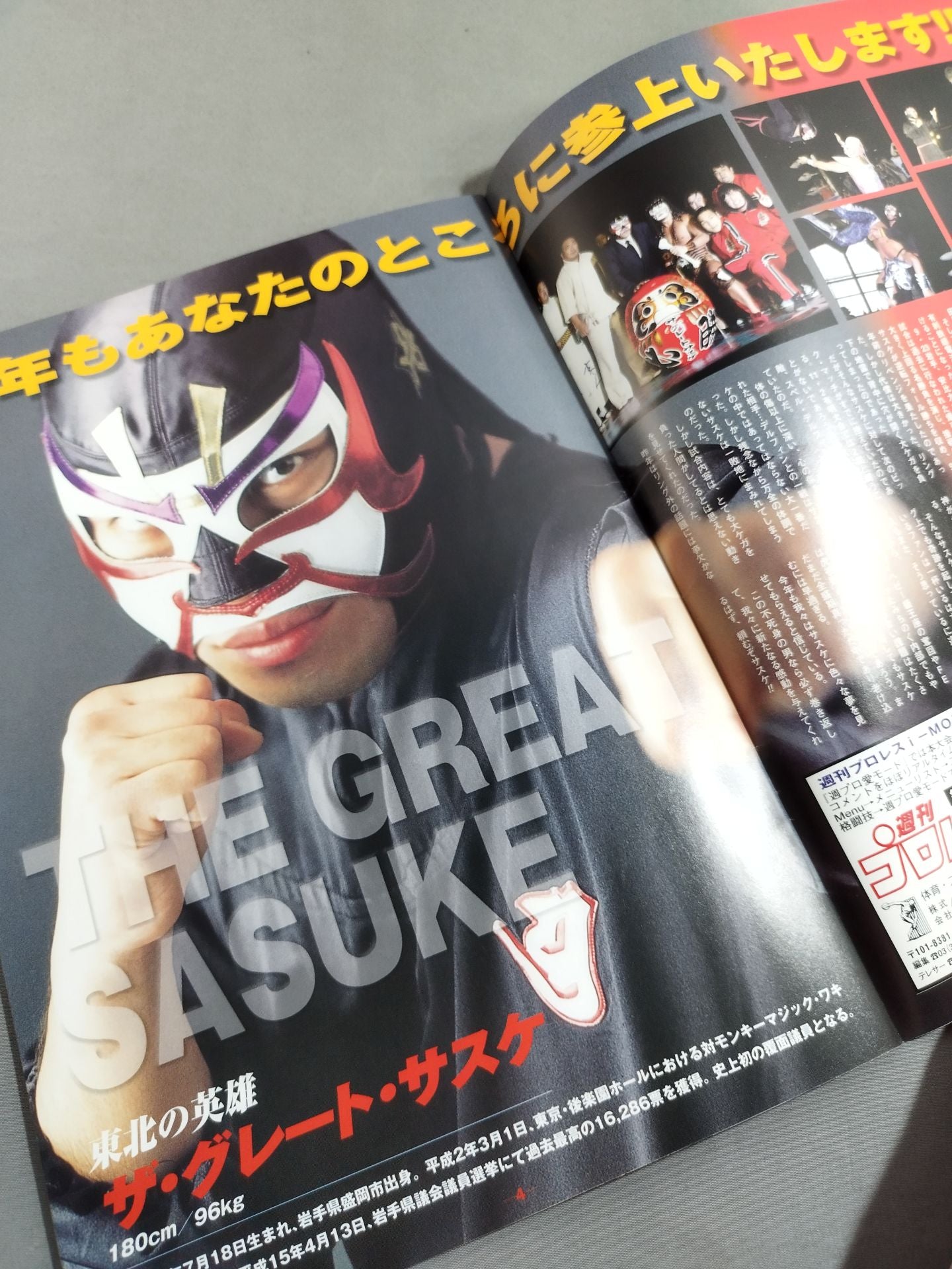 Michinoku Pro Wrestling Official Brochure Vol.82