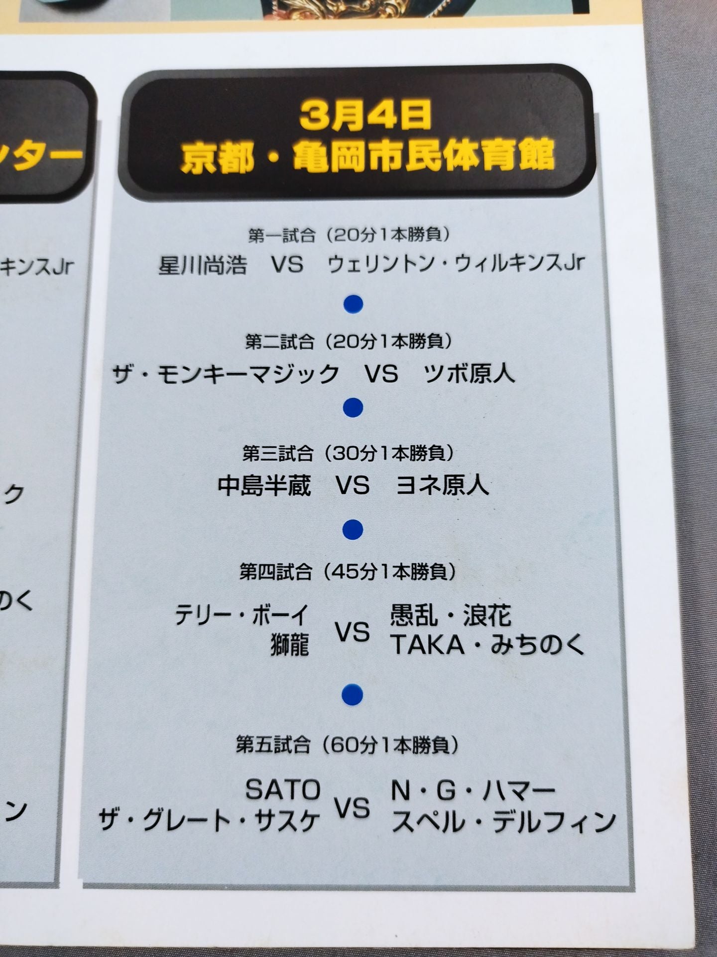 Michinoku Pro Wrestling / Sakura Sakura '95