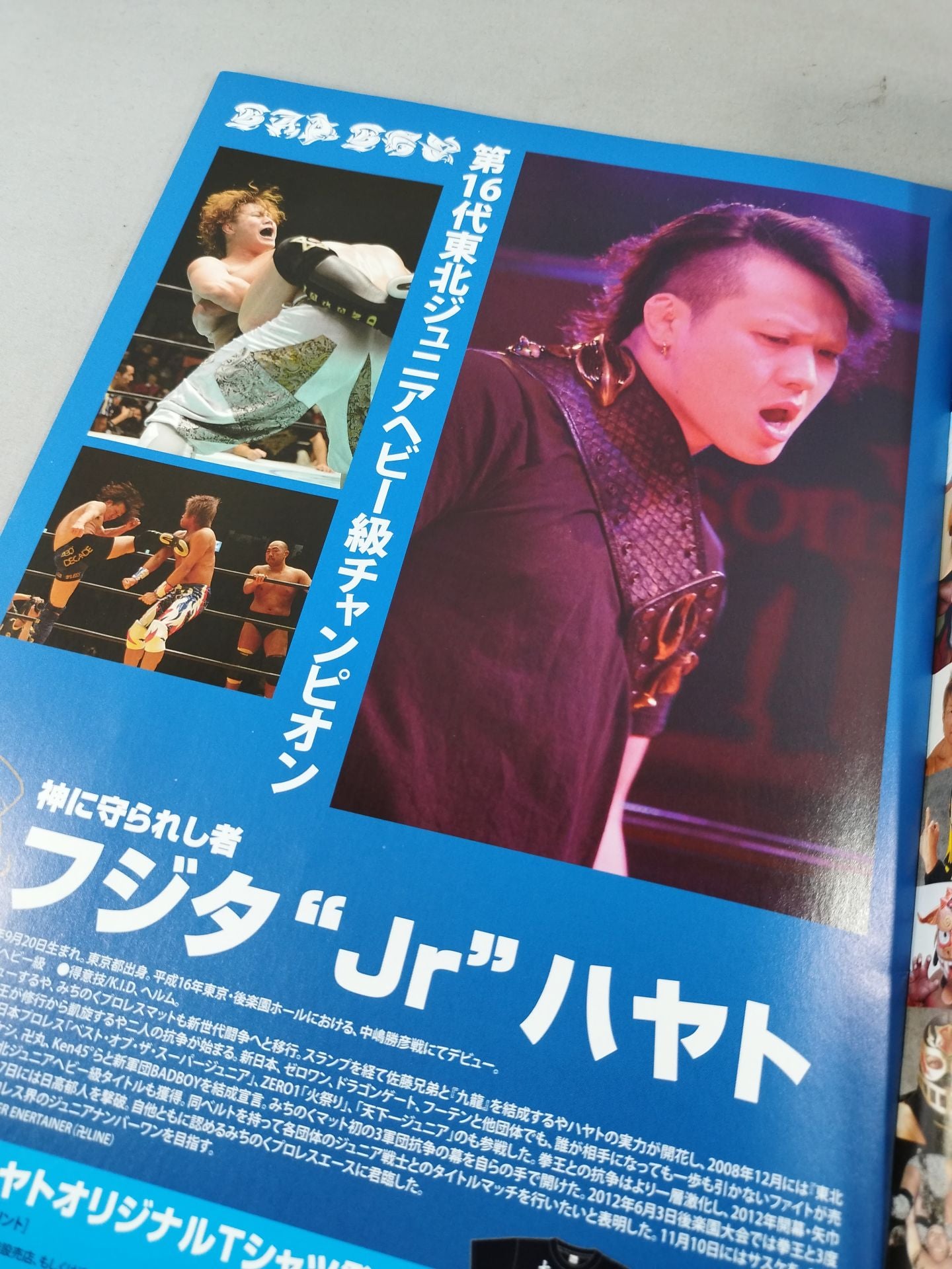 Michinoku Pro Wrestling Official Brochure Vol.141