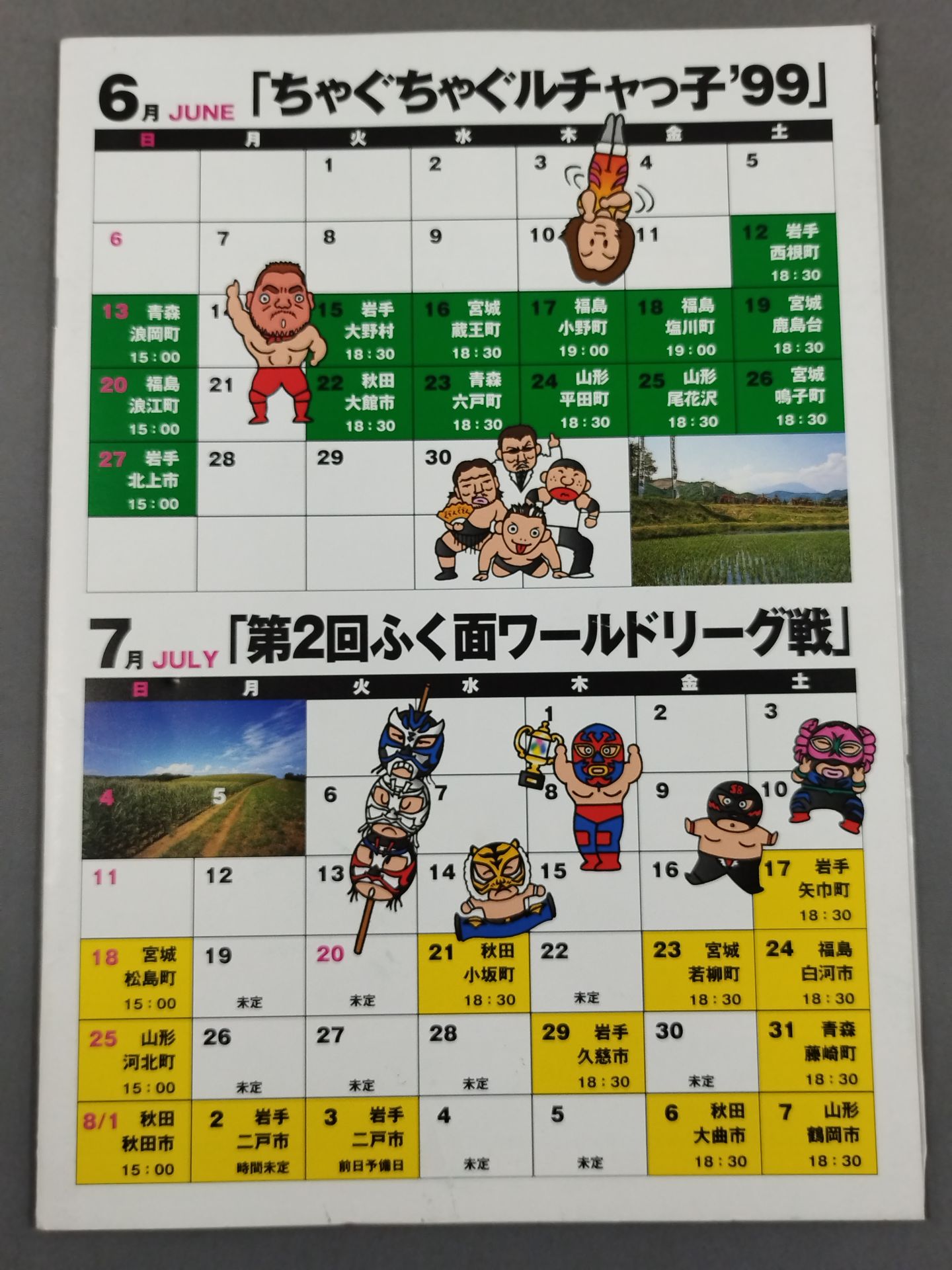 みちのくプロレス オフィシャルパンフレット Vol.49