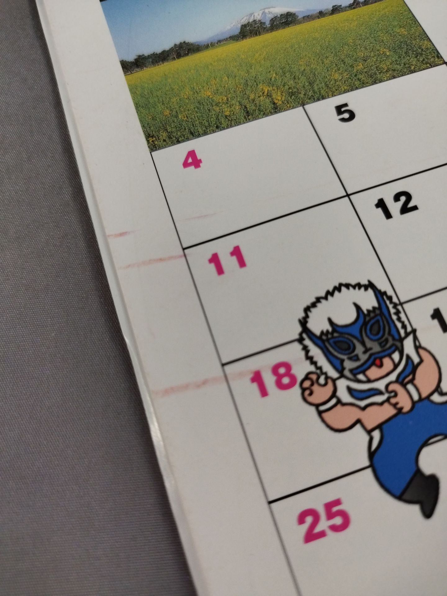 Michinoku Pro Wrestling Official Brochure Vol.49