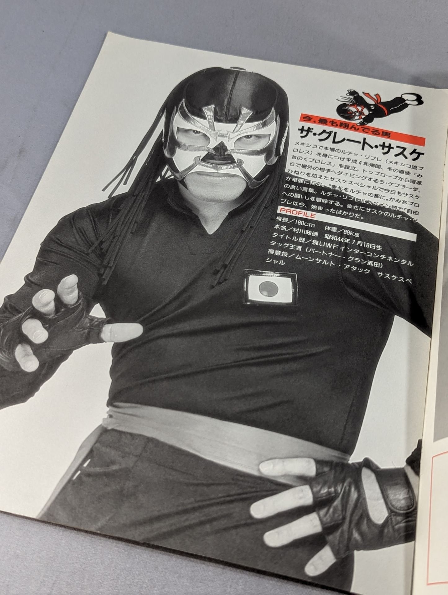 Michinoku Pro Wrestling NORTH EASTERN Wrestling
