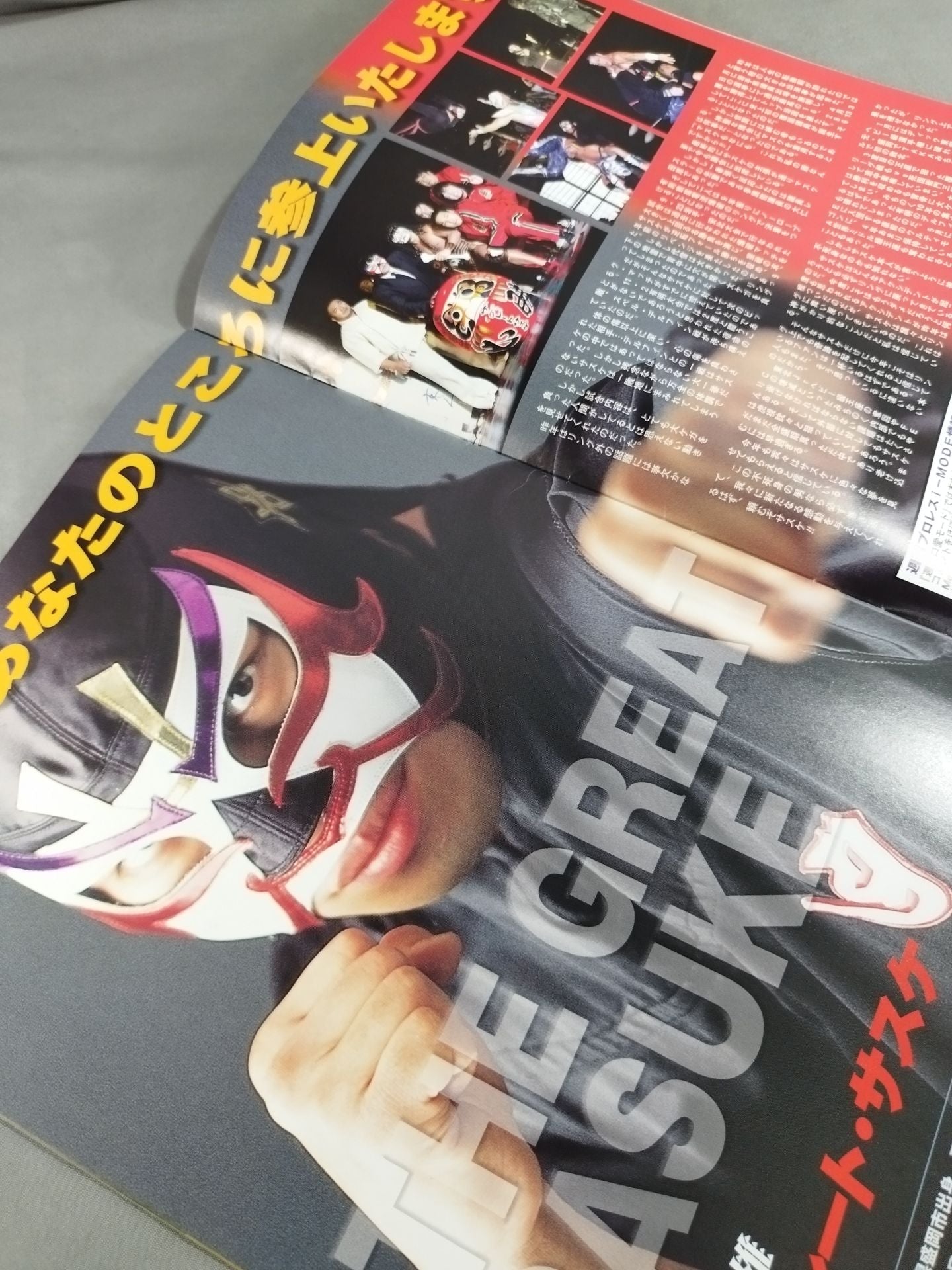 Michinoku Pro Wrestling Official Brochure Vol.82
