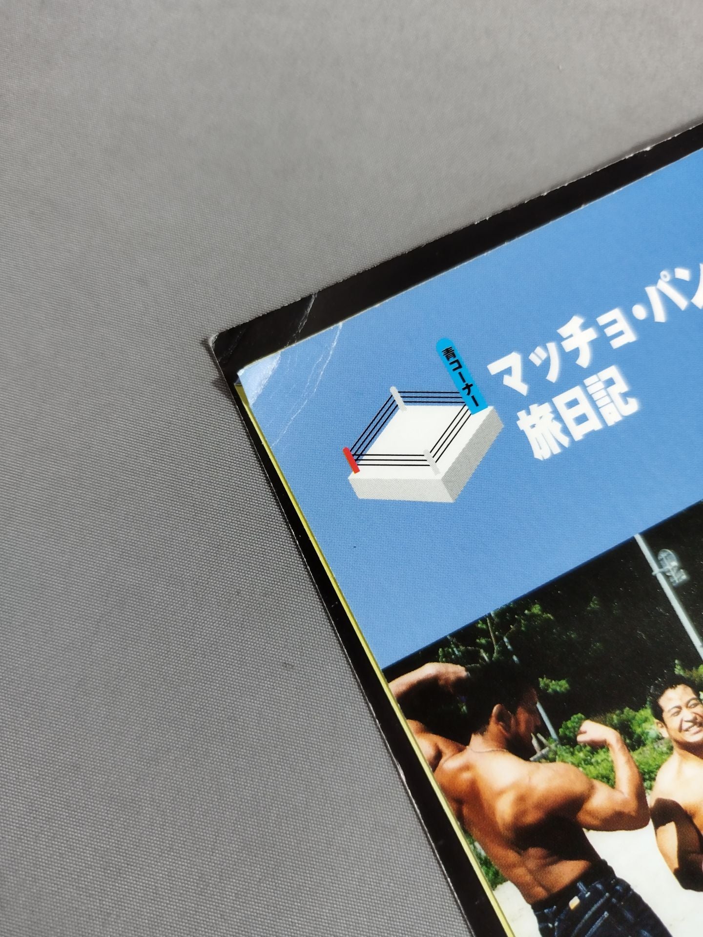 Michinoku Pro Wrestling Official Brochure Vol.63