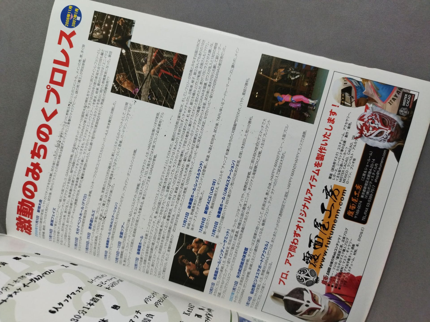 Michinoku Pro Wrestling Official Brochure Vol.110