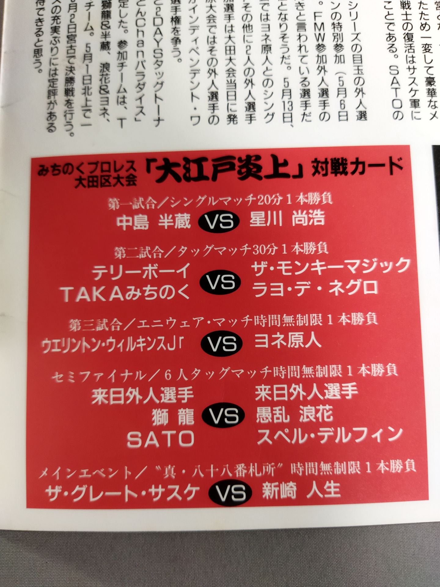 Michinoku Pro Wrestling Official Brochure Vol.2