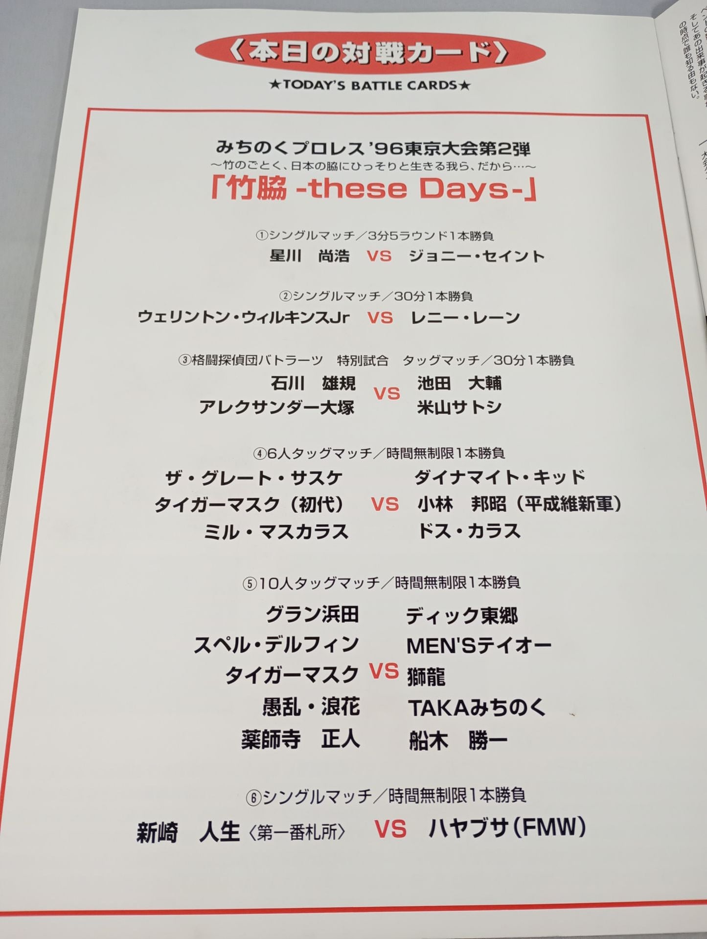 ★人生vsハヤブサ★ みちのくプロレス オフィシャルパンフレット Vol.24