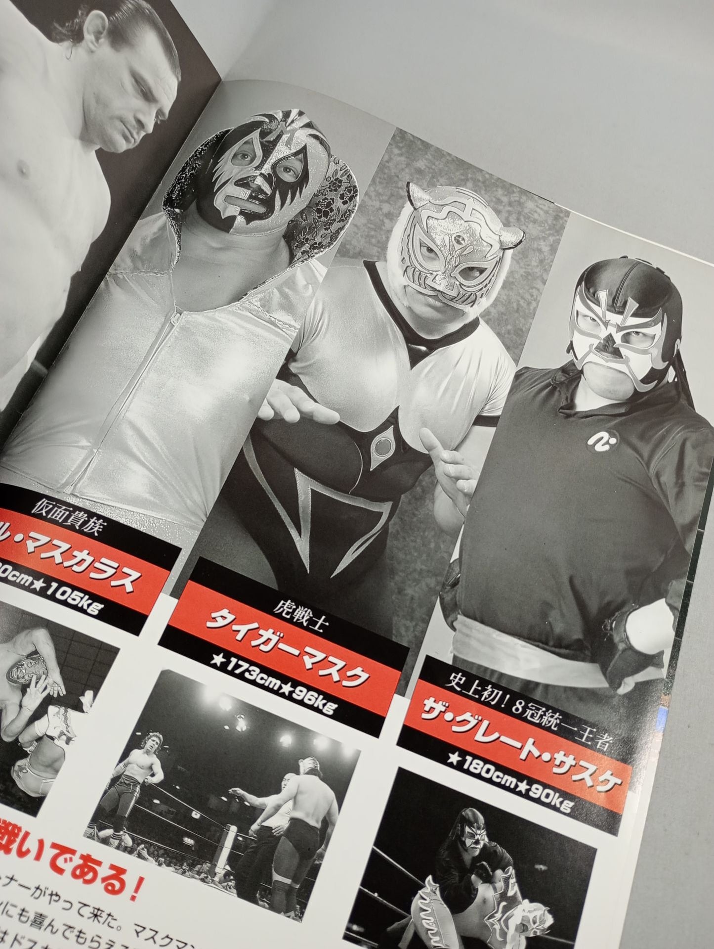 ★人生vsハヤブサ★ みちのくプロレス オフィシャルパンフレット Vol.24