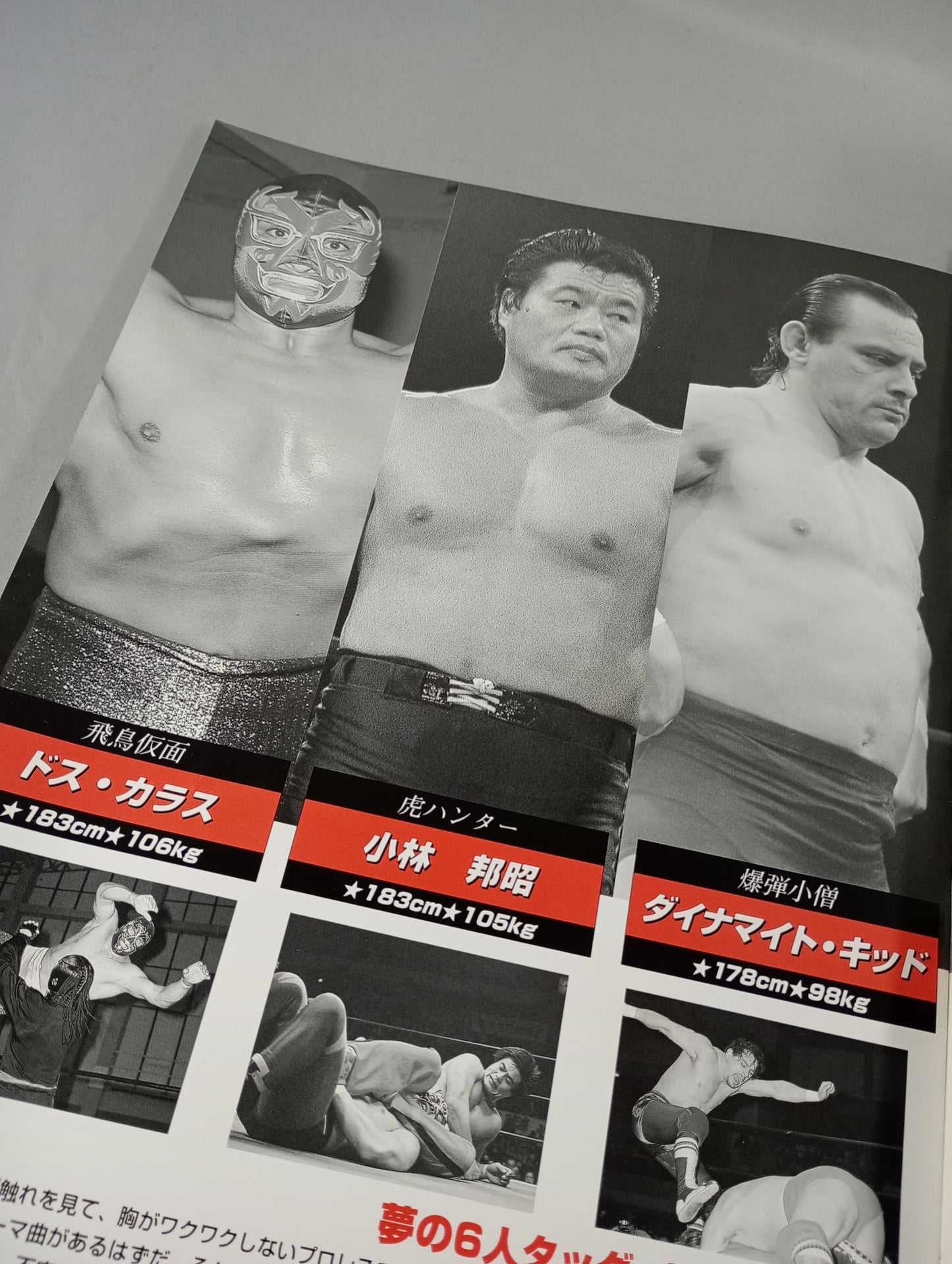 ★人生vsハヤブサ★ みちのくプロレス オフィシャルパンフレット Vol.24