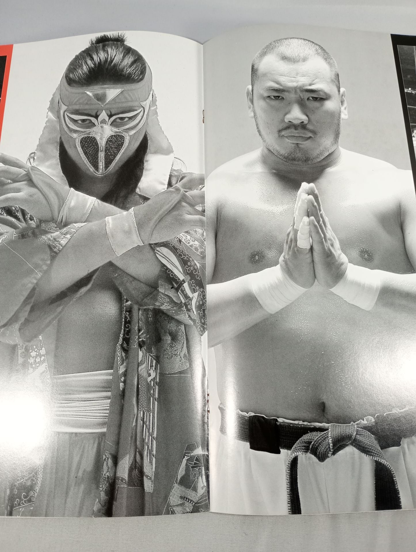 ★人生vsハヤブサ★ みちのくプロレス オフィシャルパンフレット Vol.24