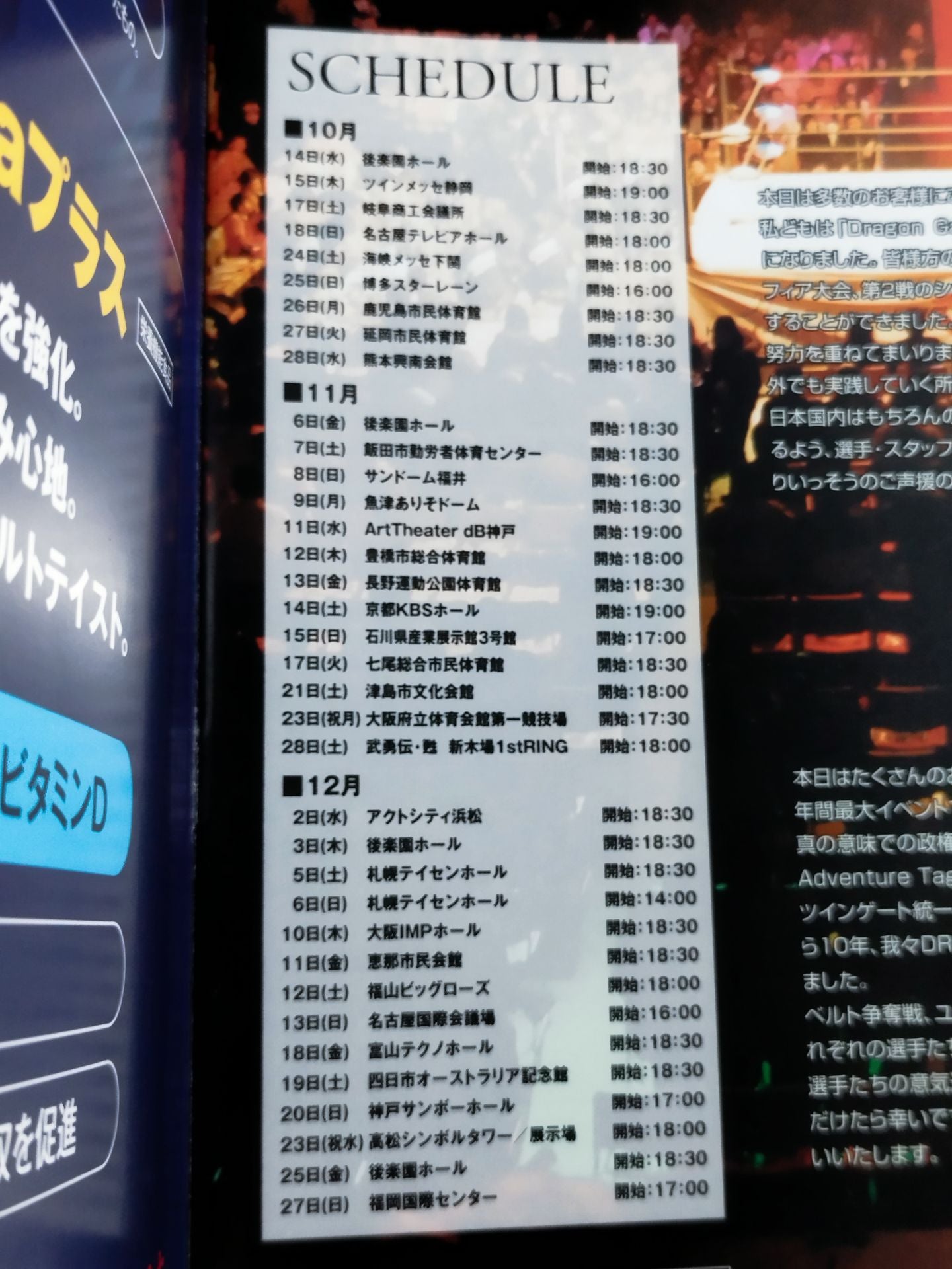 2009ドラゴンゲート オフィシャルパンフレット Vol.13