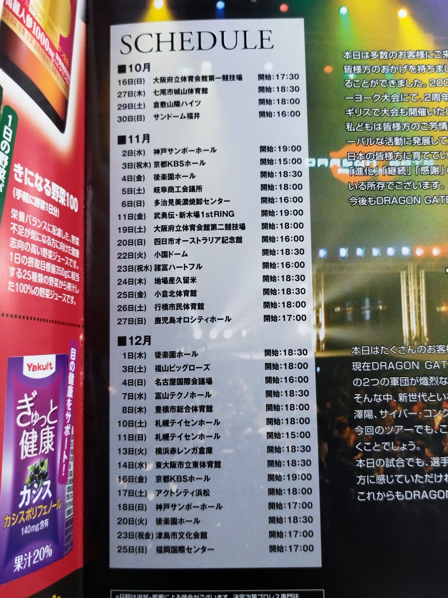 2011ドラゴンゲート オフィシャルパンフレット Vol.22