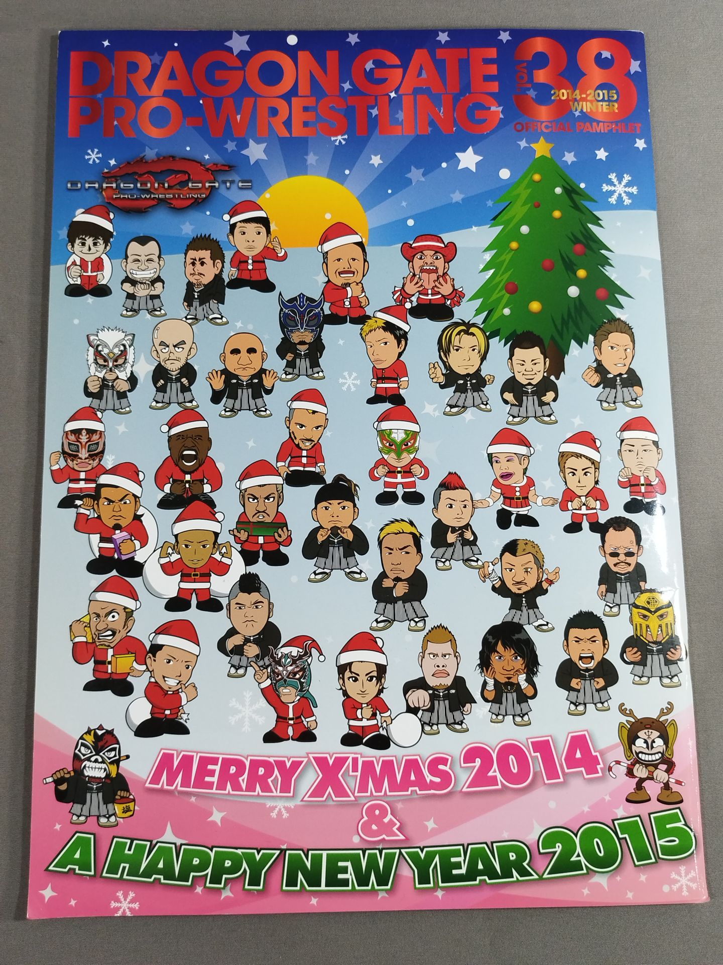 2014-2015ドラゴンゲート オフィシャルパンフレット Vol.38