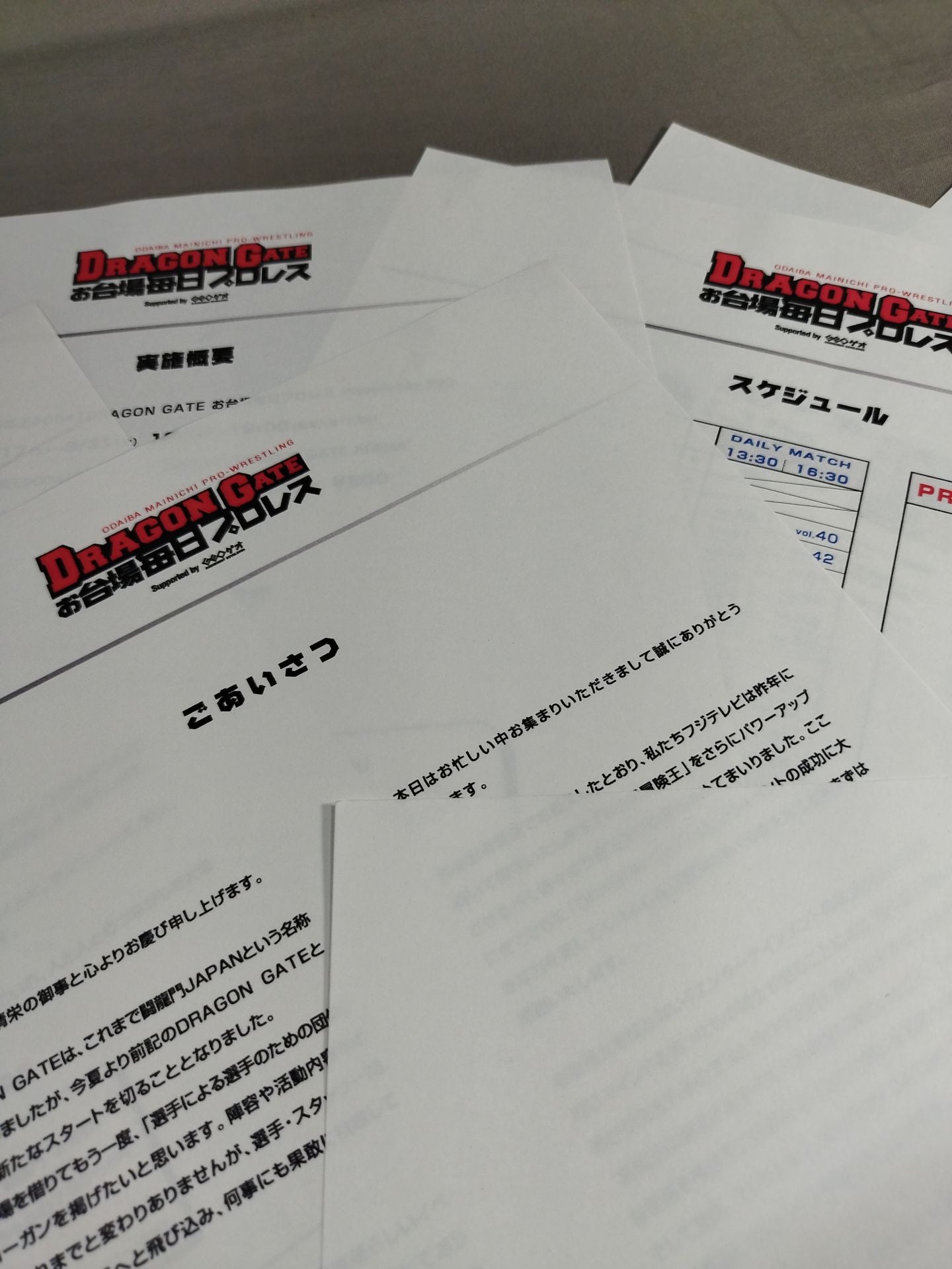 DRAGONGATE / お台場毎日プロレス マスコミ用配布資料