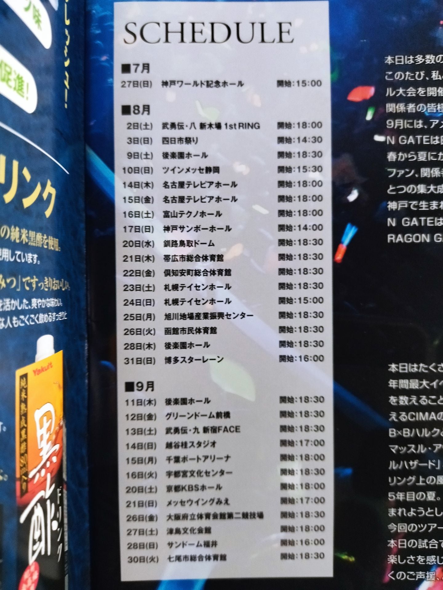 2008ドラゴンゲート オフィシャルパンフレット(7月~9月)