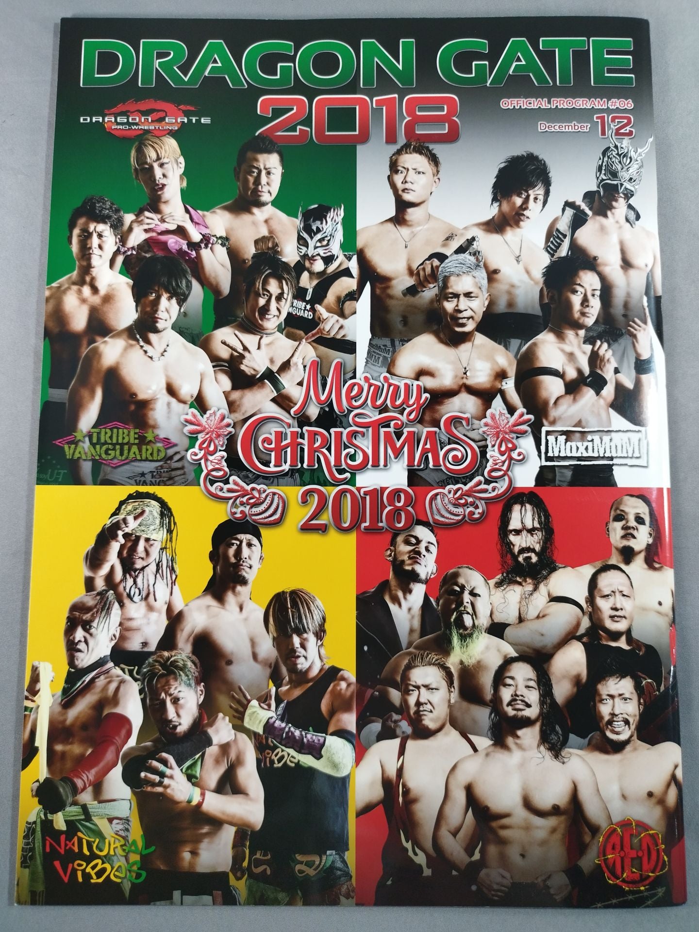 2018ドラゴンゲート オフィシャルプログラム #06