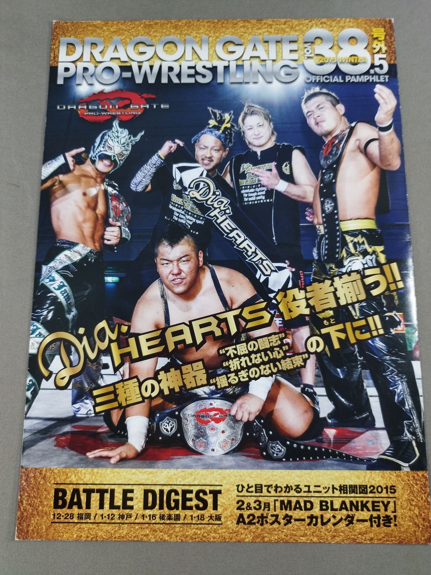 2015ドラゴンゲート オフィシャルパンフレット号外 Vol.38.5