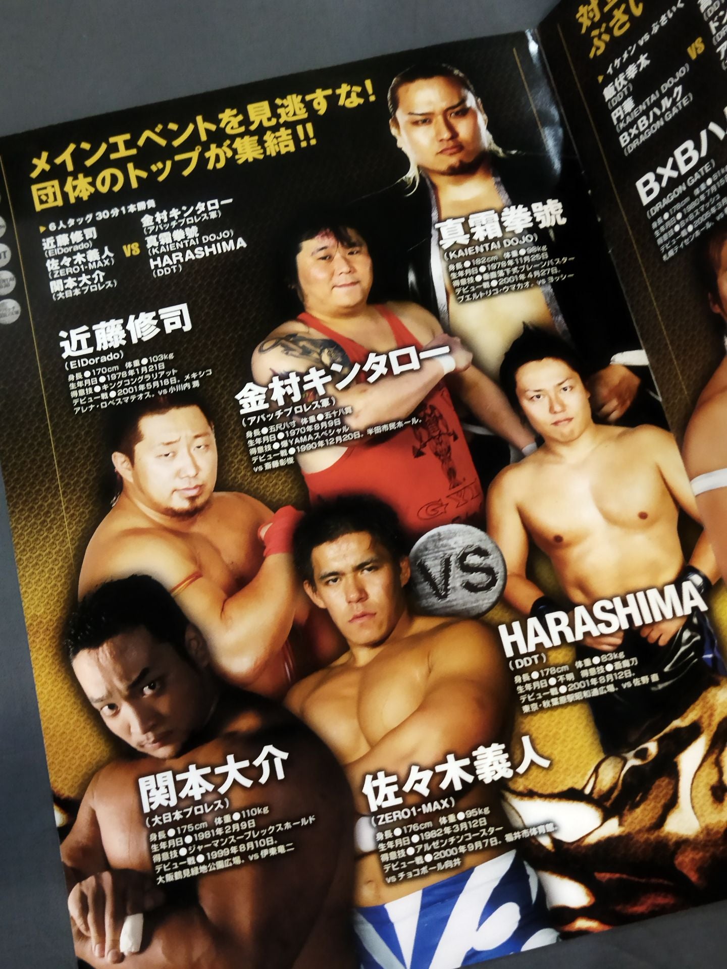 プロレス・サミット IN KORAKUEN ~カウントダウンプロレス~