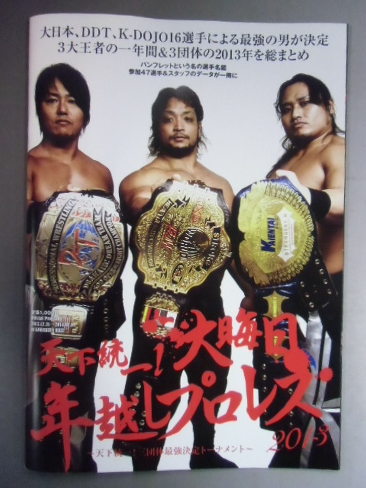 天下統一!大晦日年越しプロレス2013