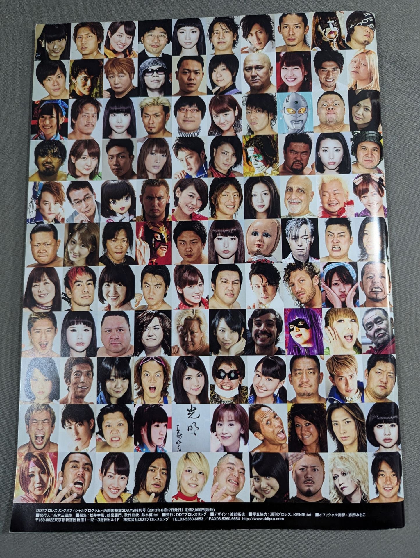 DDT Official Program 2013 Ryogoku  2DAYS Special Edition