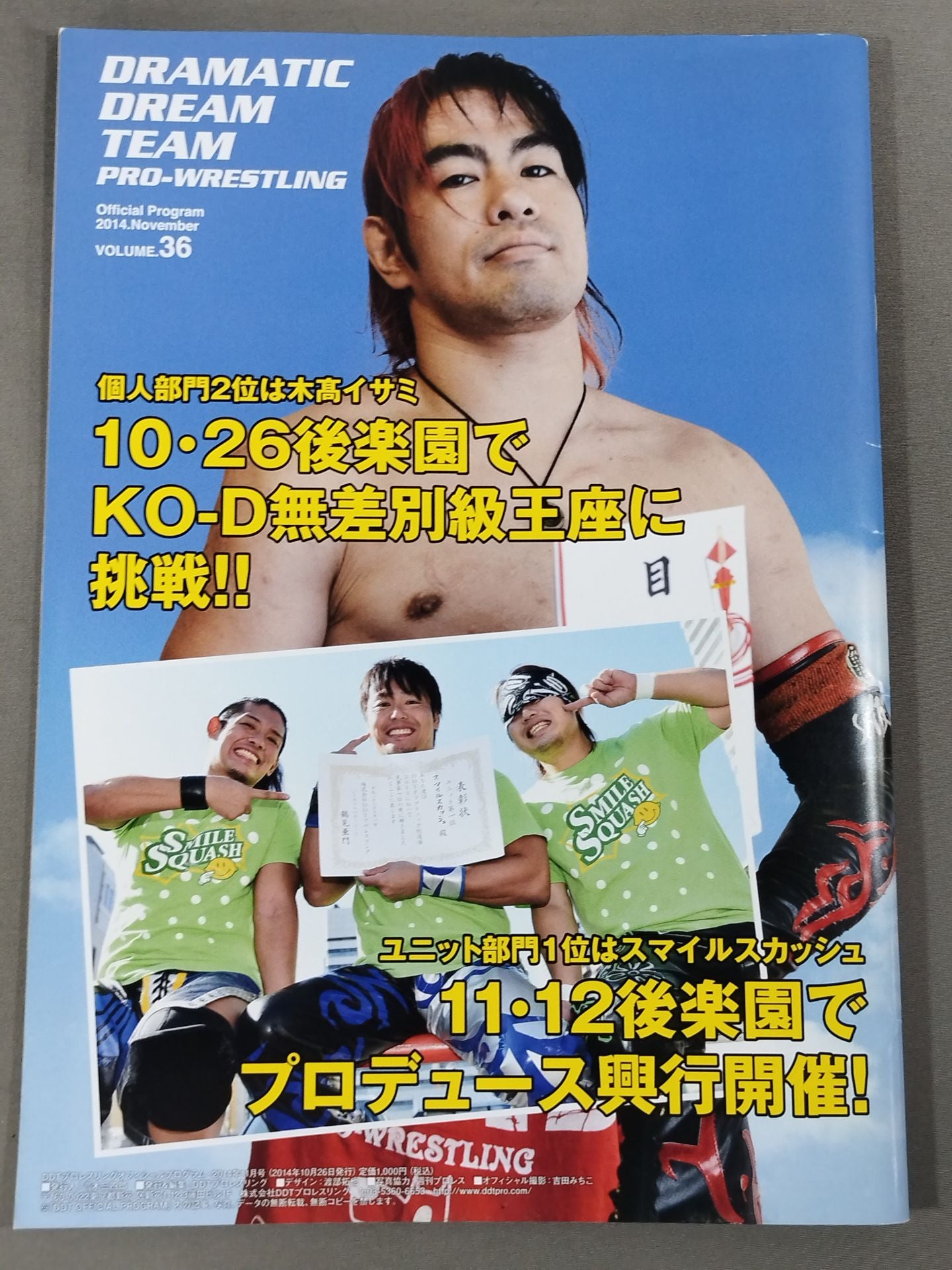 DDT Official Program 2014 November Vol.36
