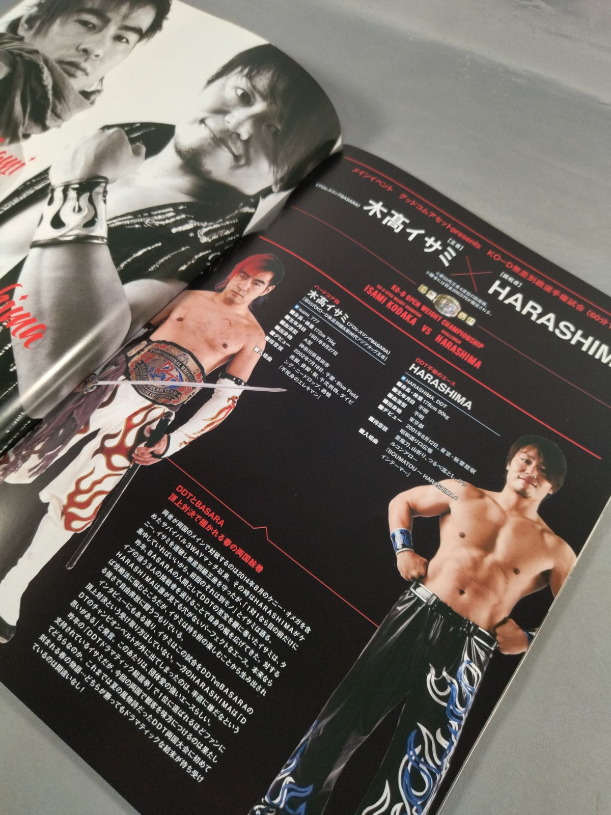 DDT旗揚げ19周年記念大会 Judgment 2016 / ジャッジメント2016