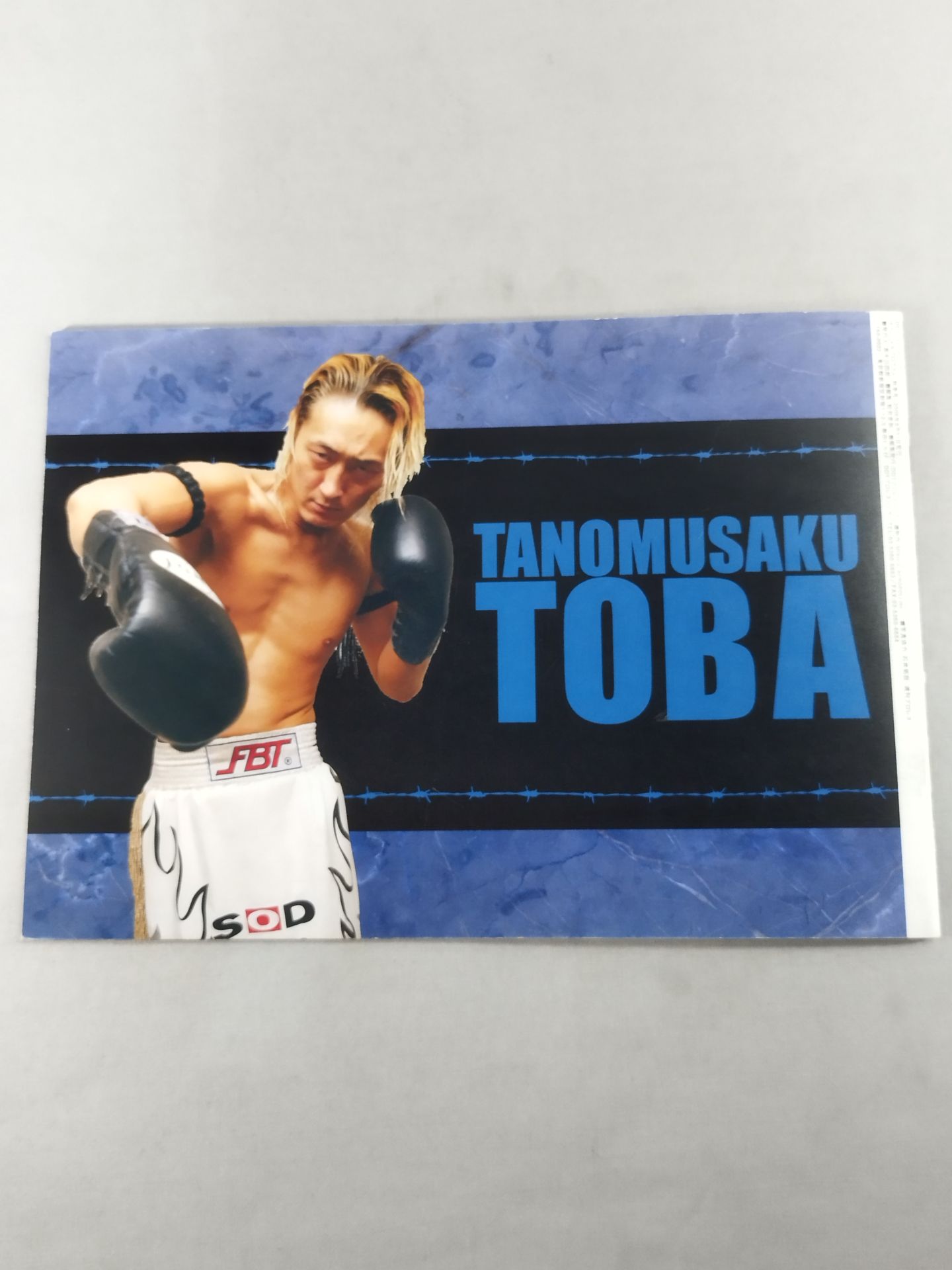 【Poison Sawada JULIE hand signed autograph 】DDT Official Program Autumn 2008 Vol.1