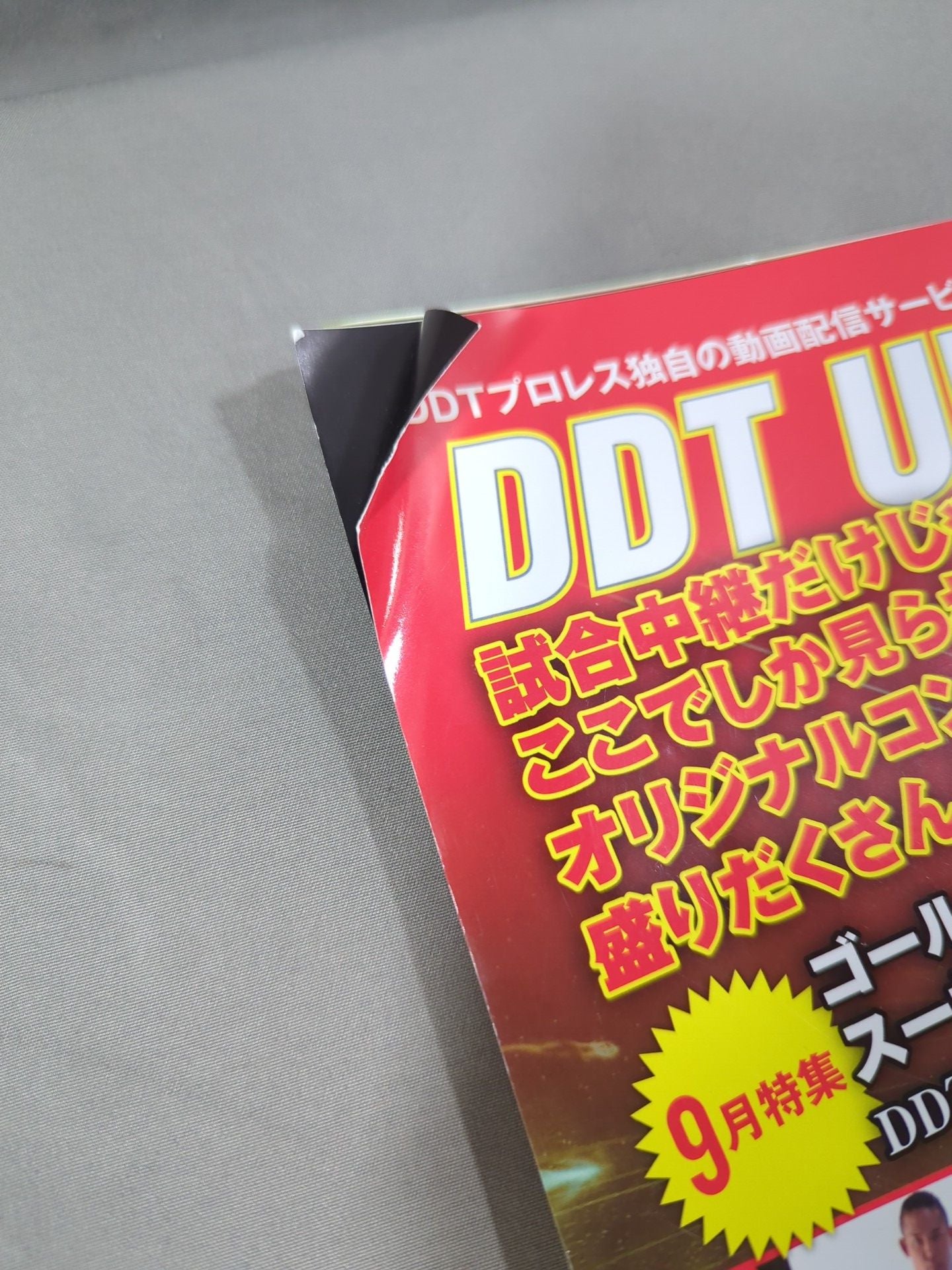 両国ピーターパン2017 / ピーターパン 二十歳になっても ピーターパン