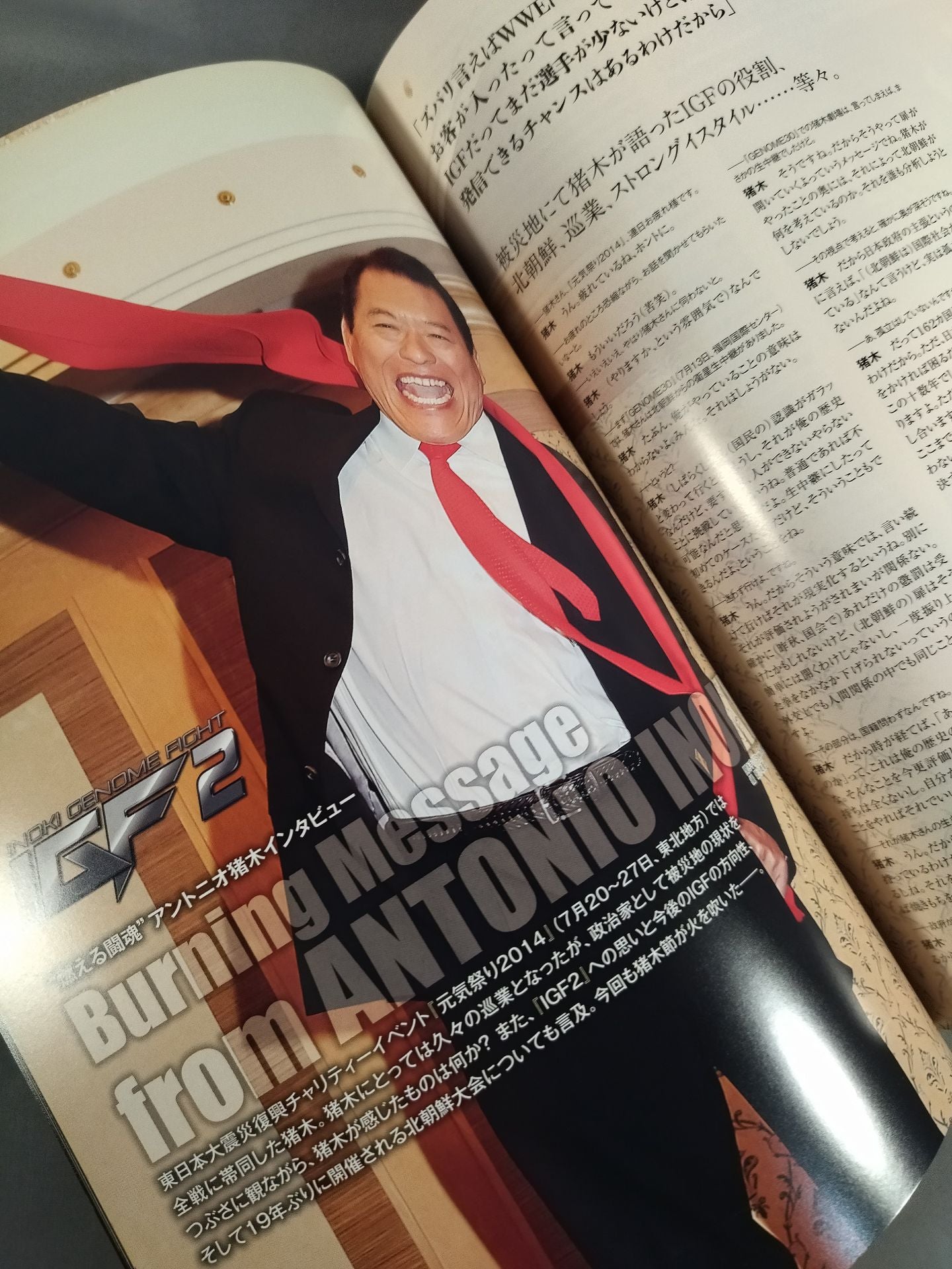 INOKI GENOME FIGHT / IGF2