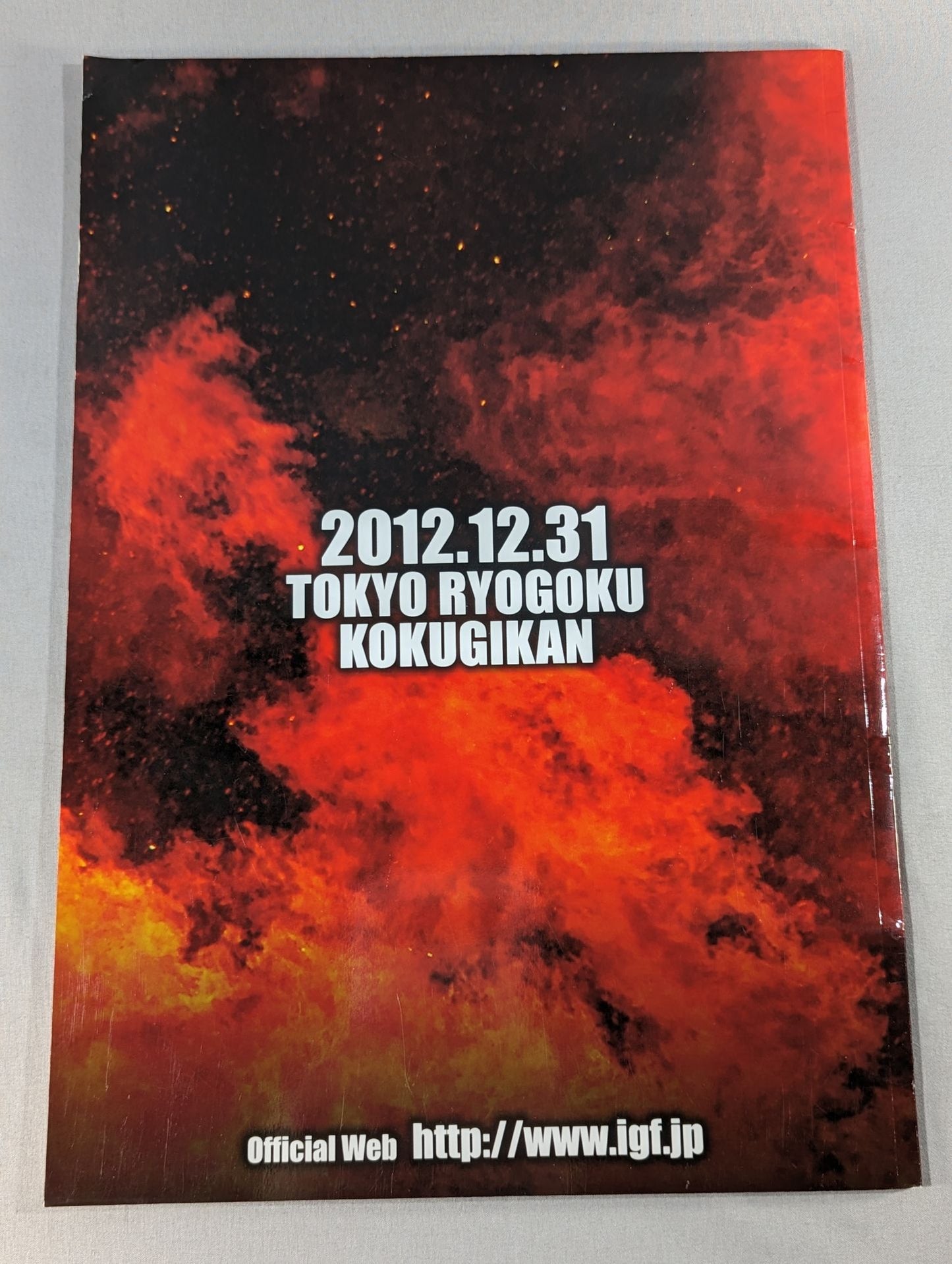 IGF / INOKI BOM-BA-YE 2012 / イノキボンバイエ2012