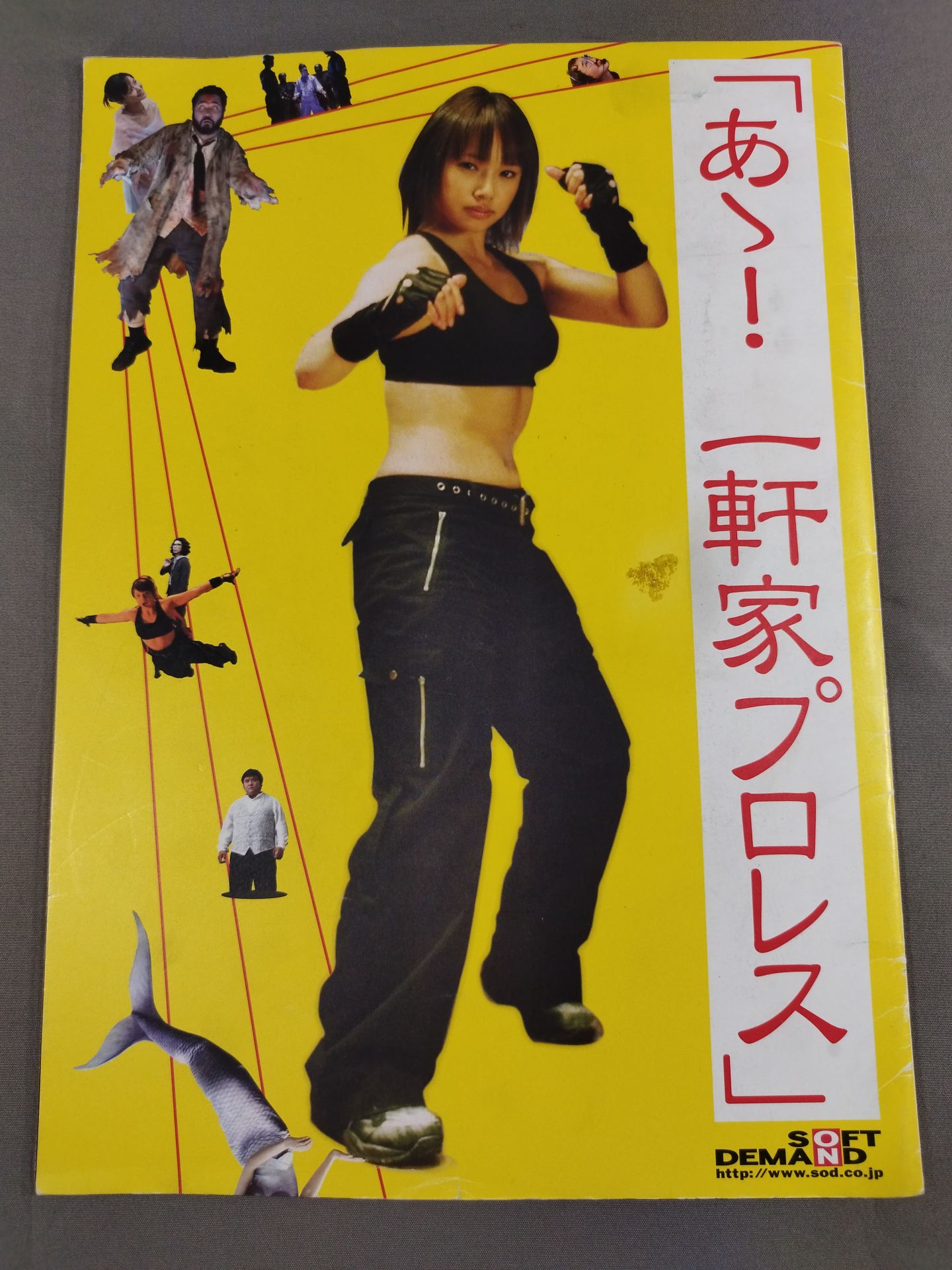 Amazon.co.jp: 橋本真也一周忌追悼DVD-BOX 破壊王 橋本真也全集