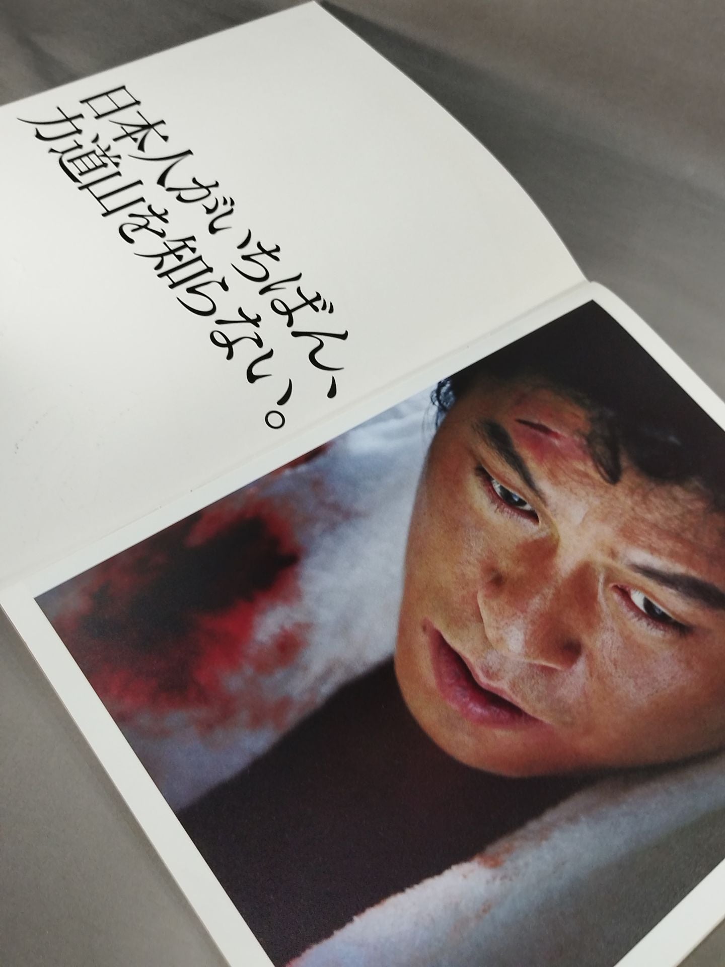 力道山 関連映画パンフレット2冊セット