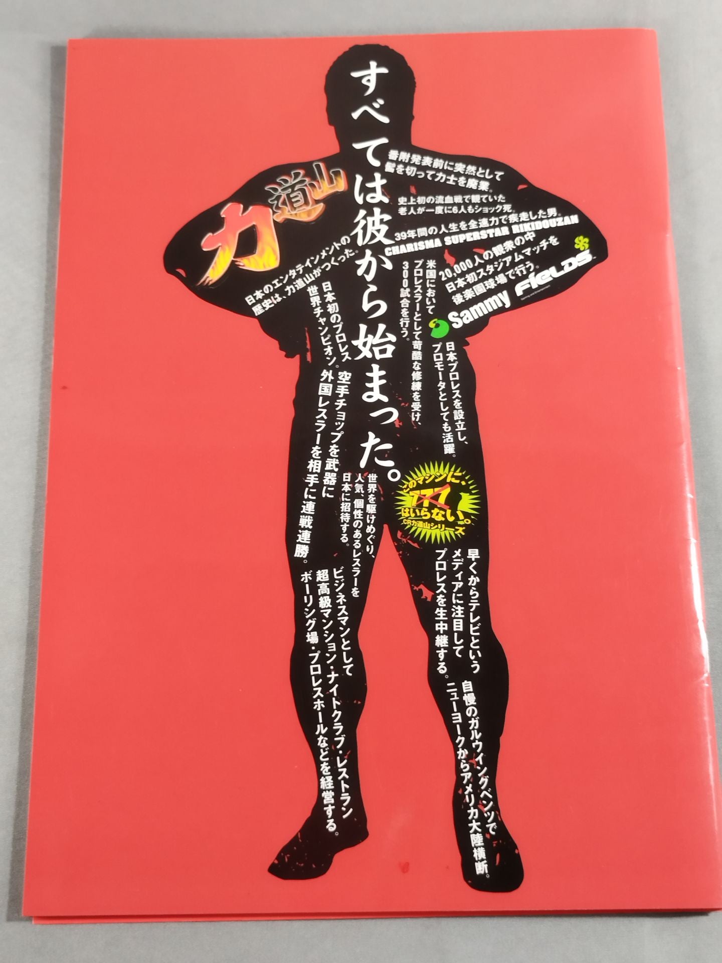 CRRikidozan Brochure