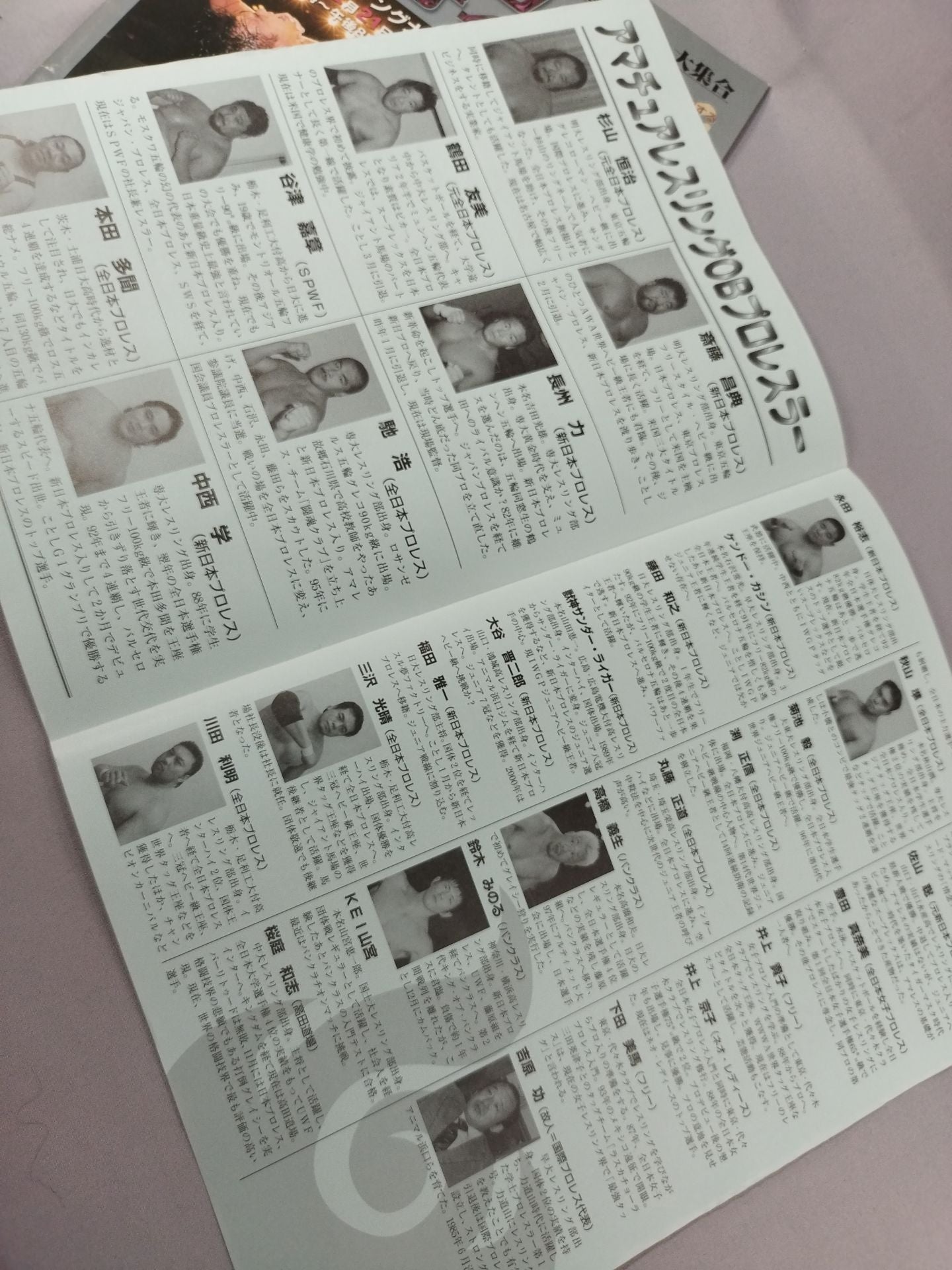 Wrestling Festival '99