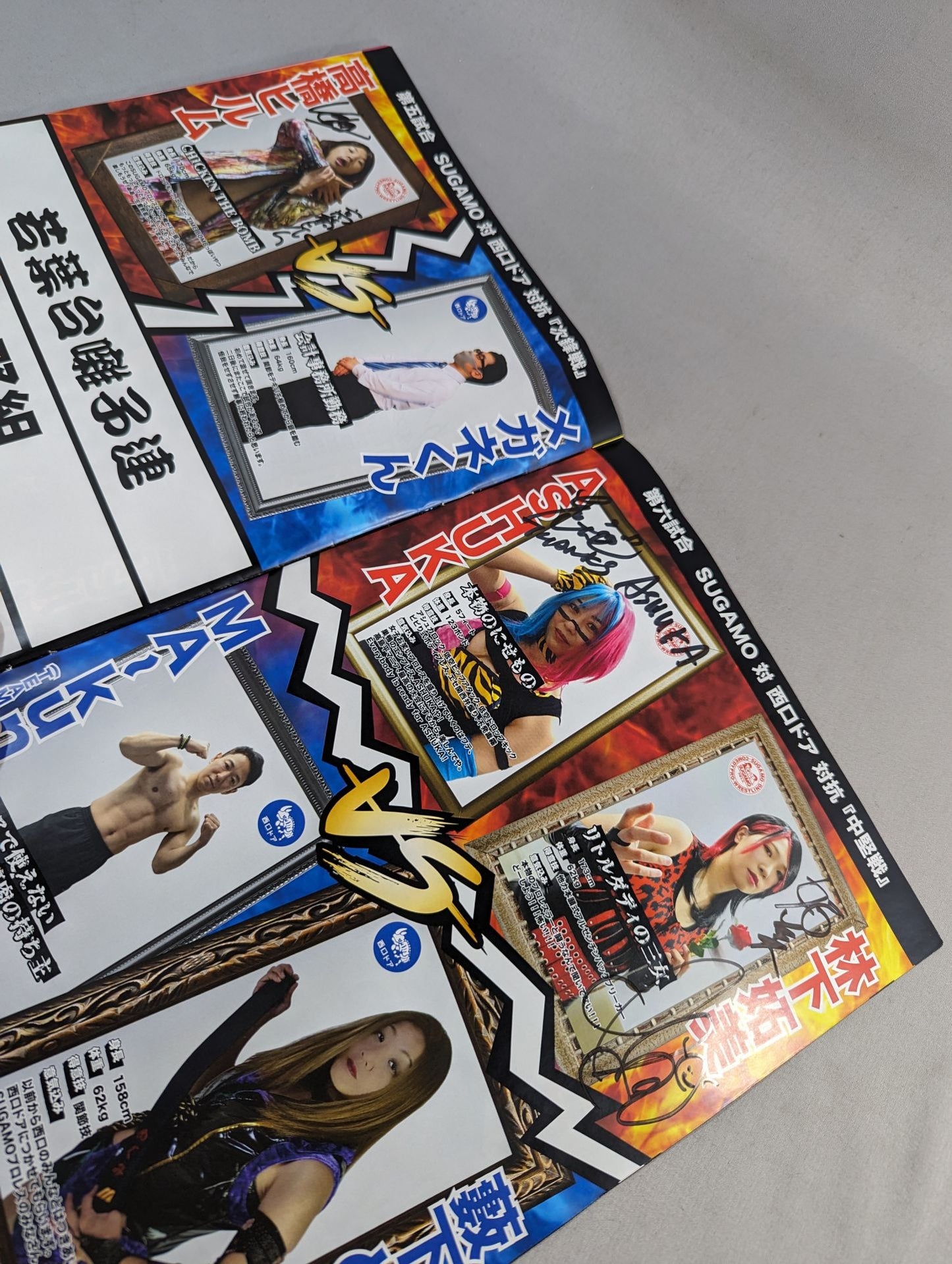 SUGAMOプロレス / SUGAMOプロレスvs西口ドア 高島平大会