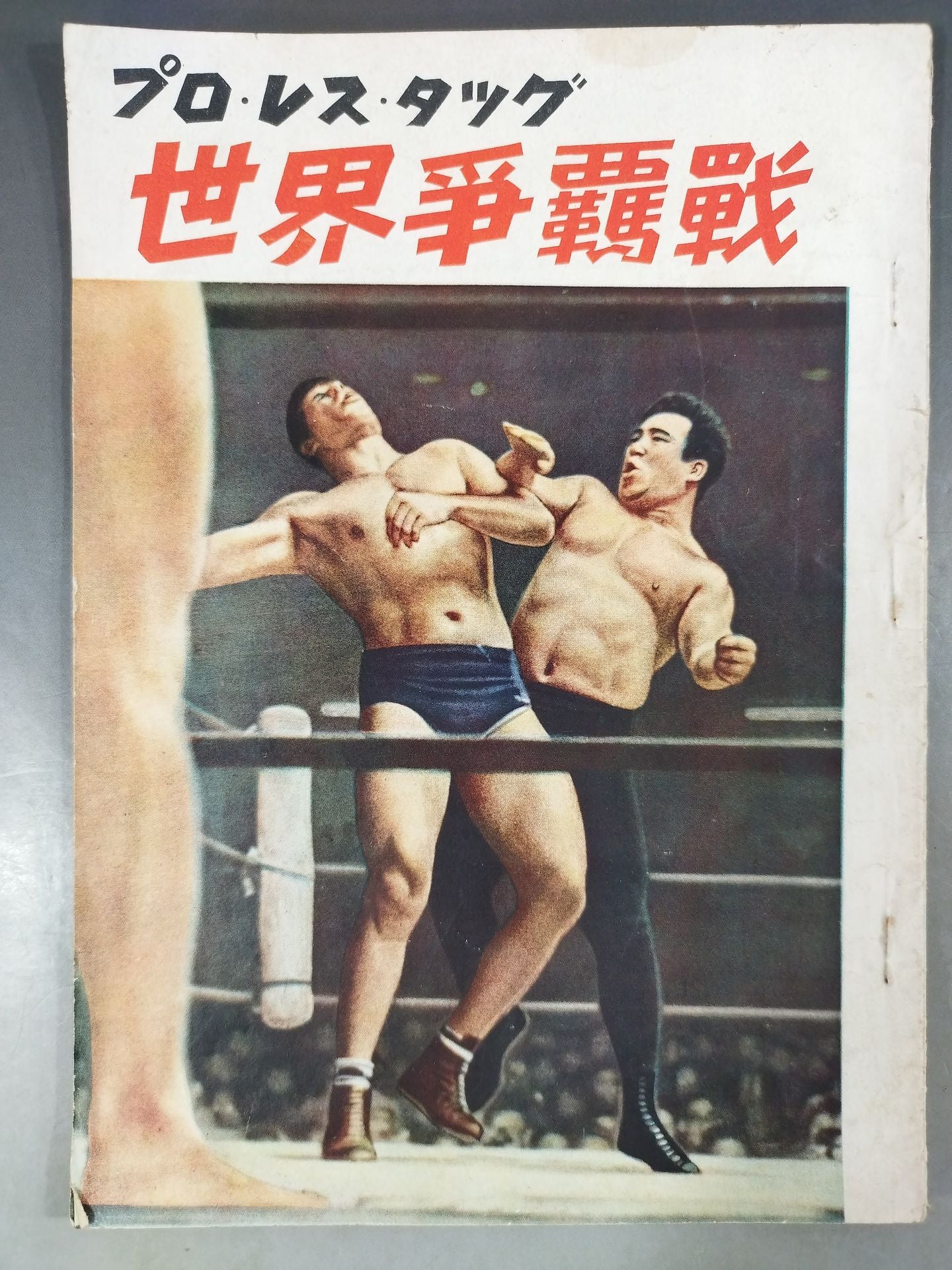 Pro Wrestling Tag Team World Domination