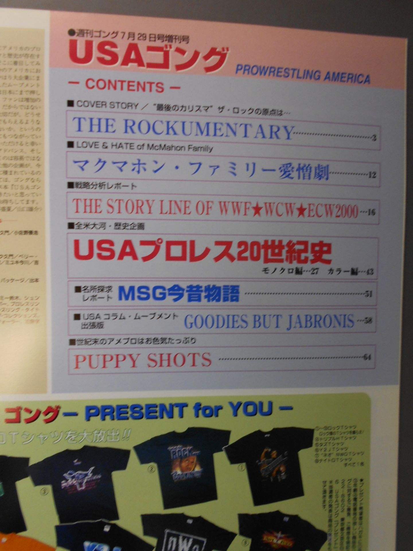 ゴング増刊号 ナンタッテ・アメリカンプロレス2000USAゴング