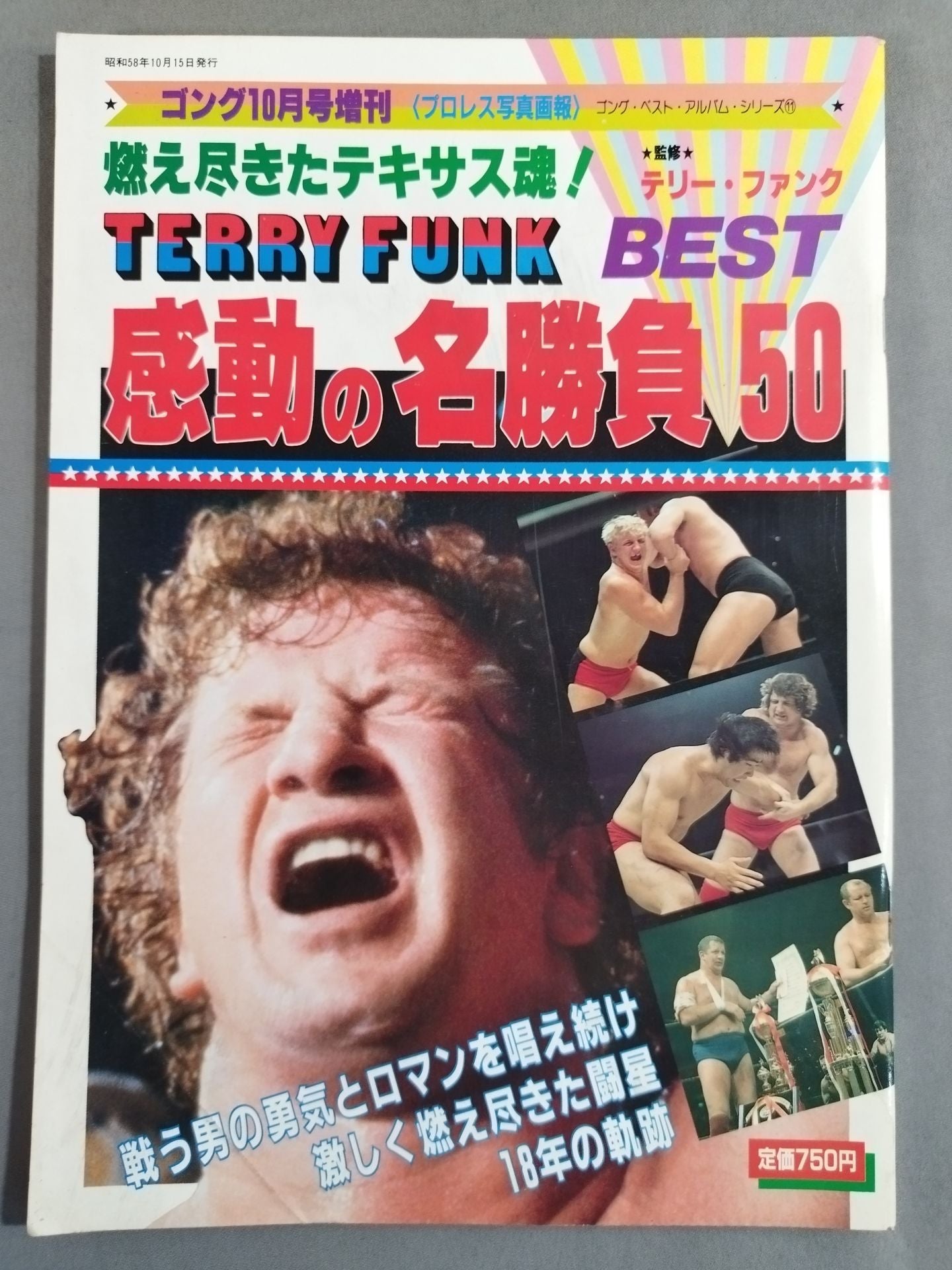 ゴング増刊号 テリー・ファンク感動の名勝負BEST50 ～ゴング・ベスト
