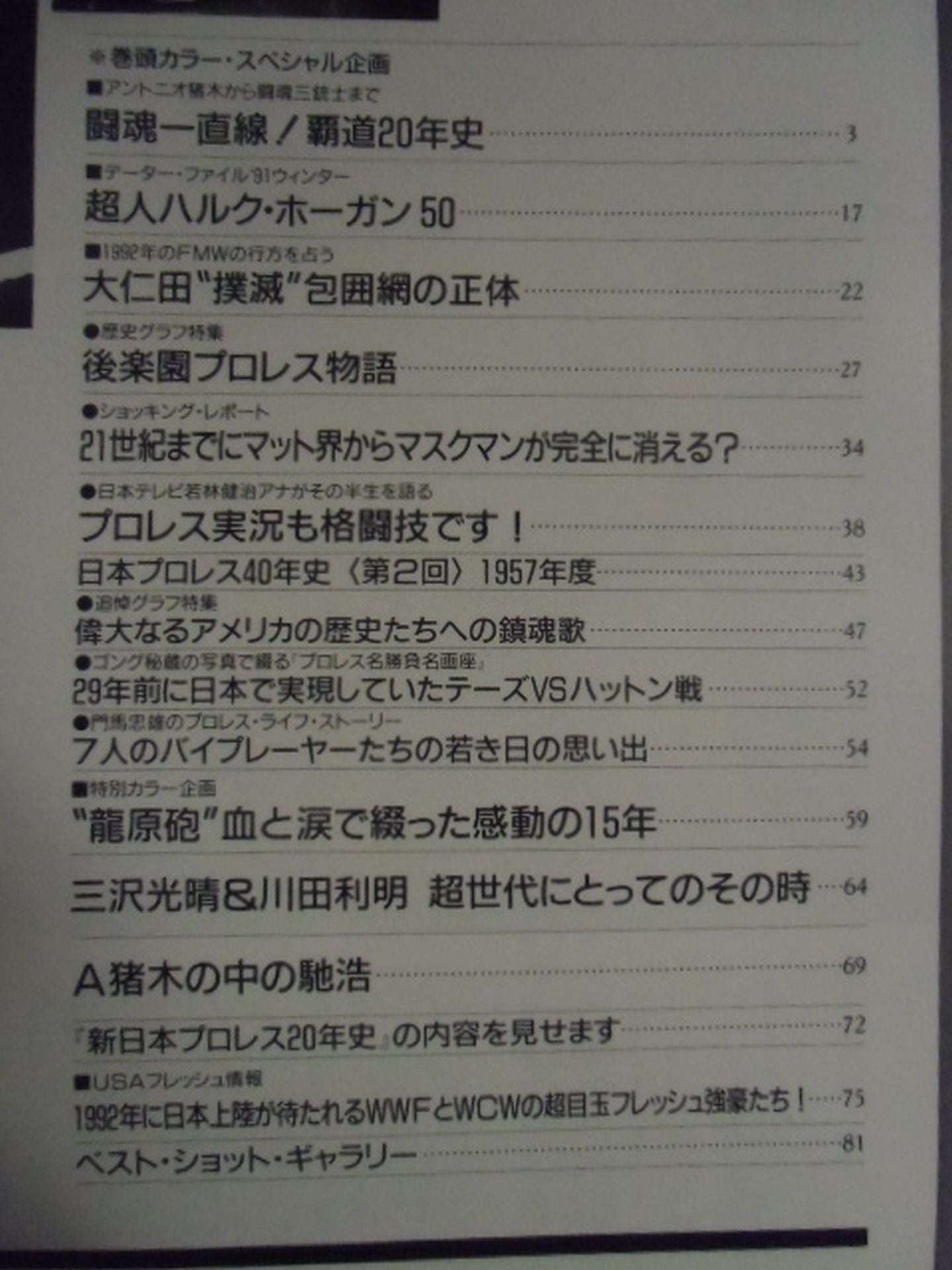 ゴング増刊号 ’91冬号 週刊ゴングSPECIAL
