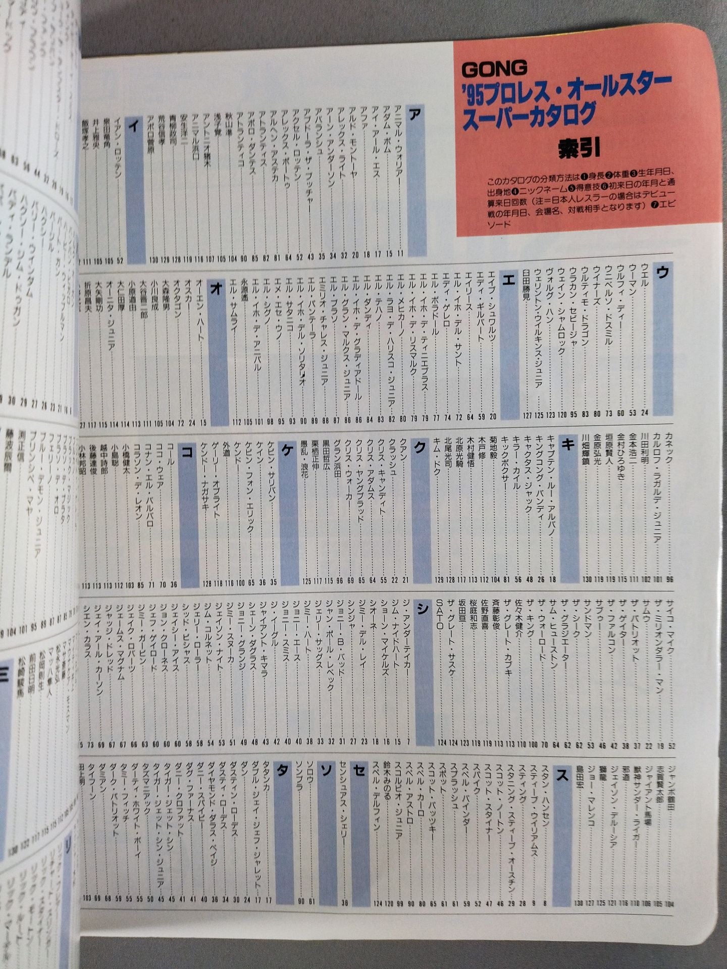 ゴング増刊号 95プロレスオールスターSUPERカタログ