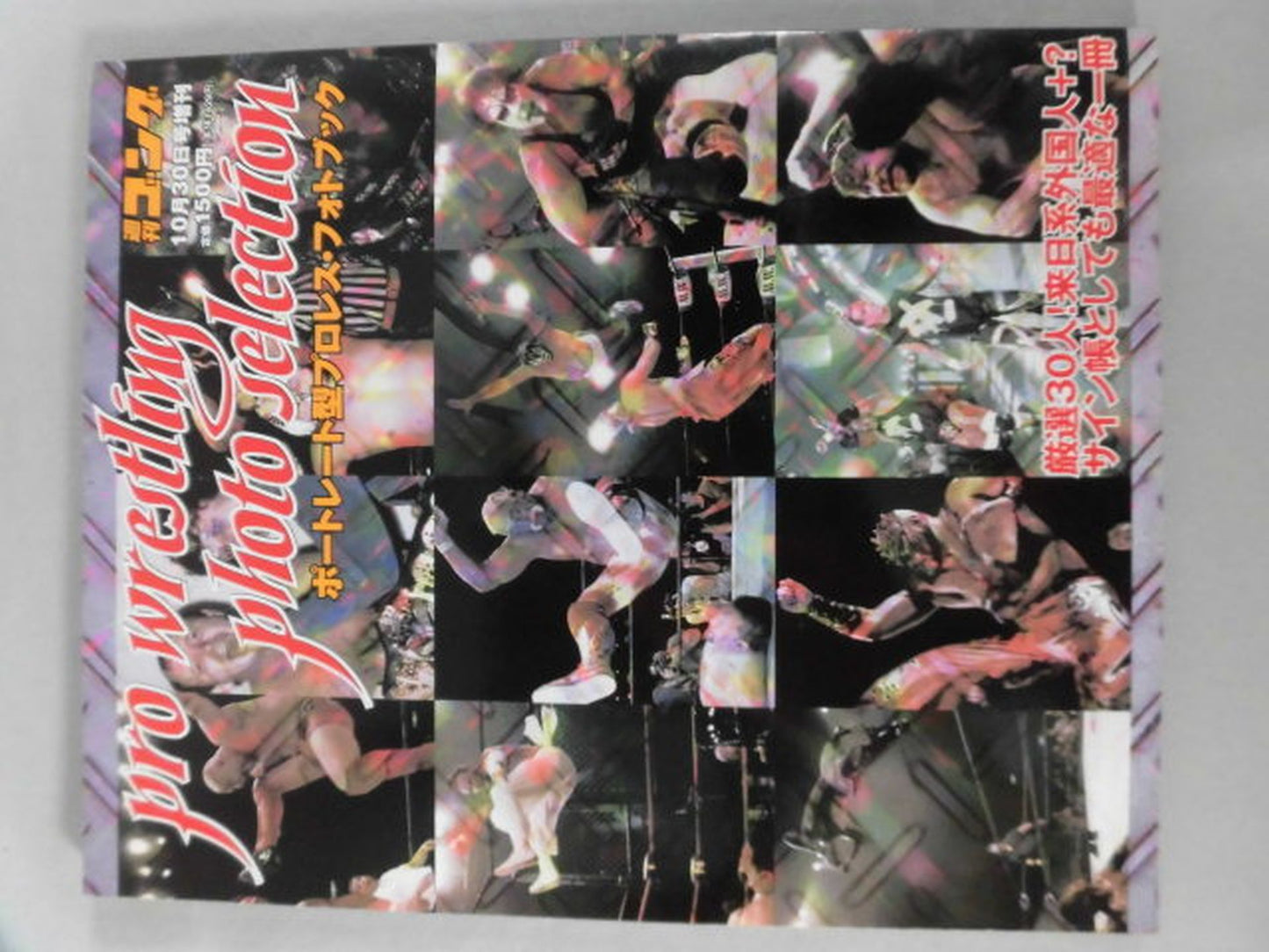 Gong Special Issue Pro-Photo Type Pro Wrestling・Photo book