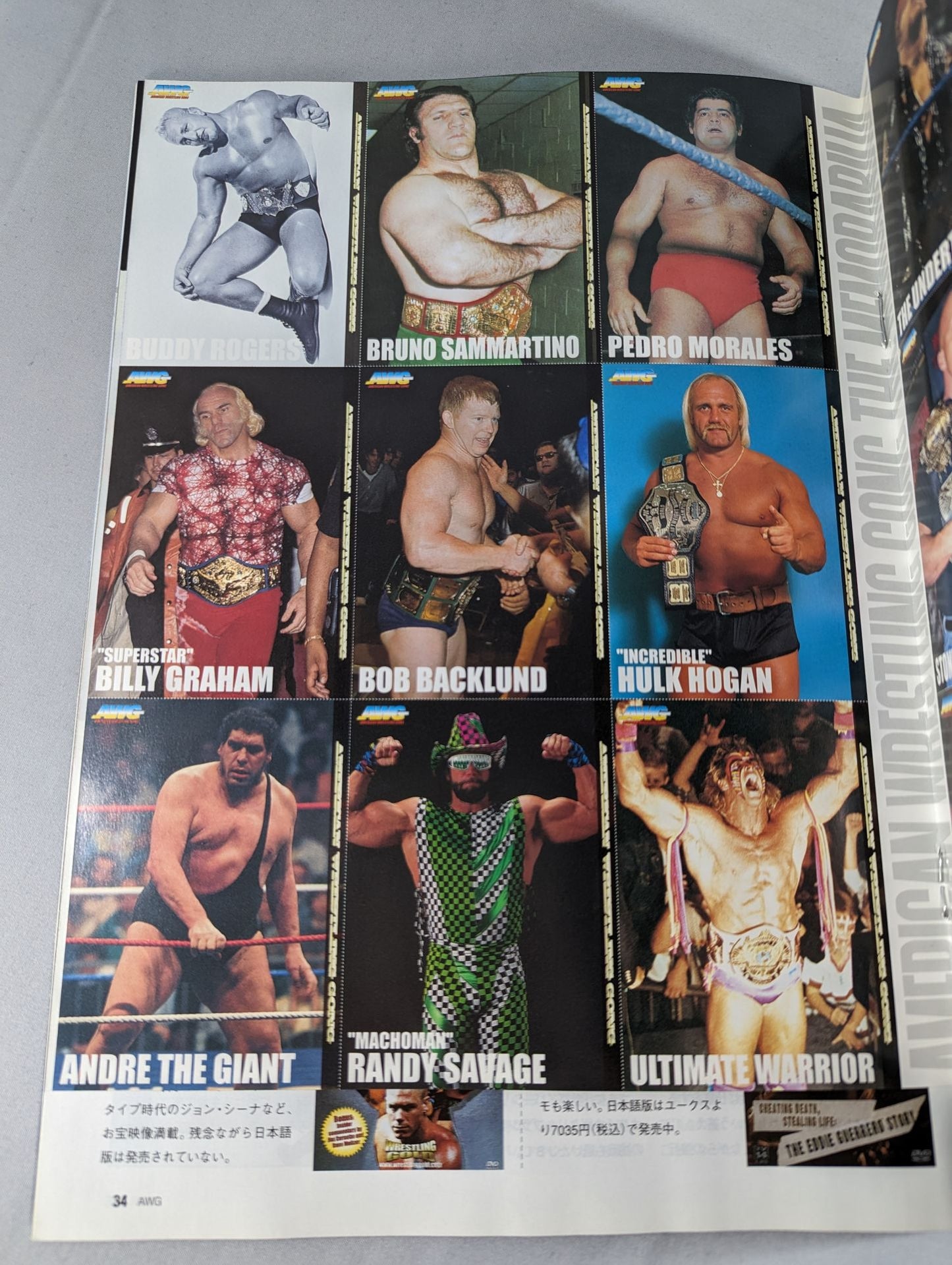 ゴング増刊号 AMERICAN WRESTLING GONG 日本上陸記念観戦ガイド